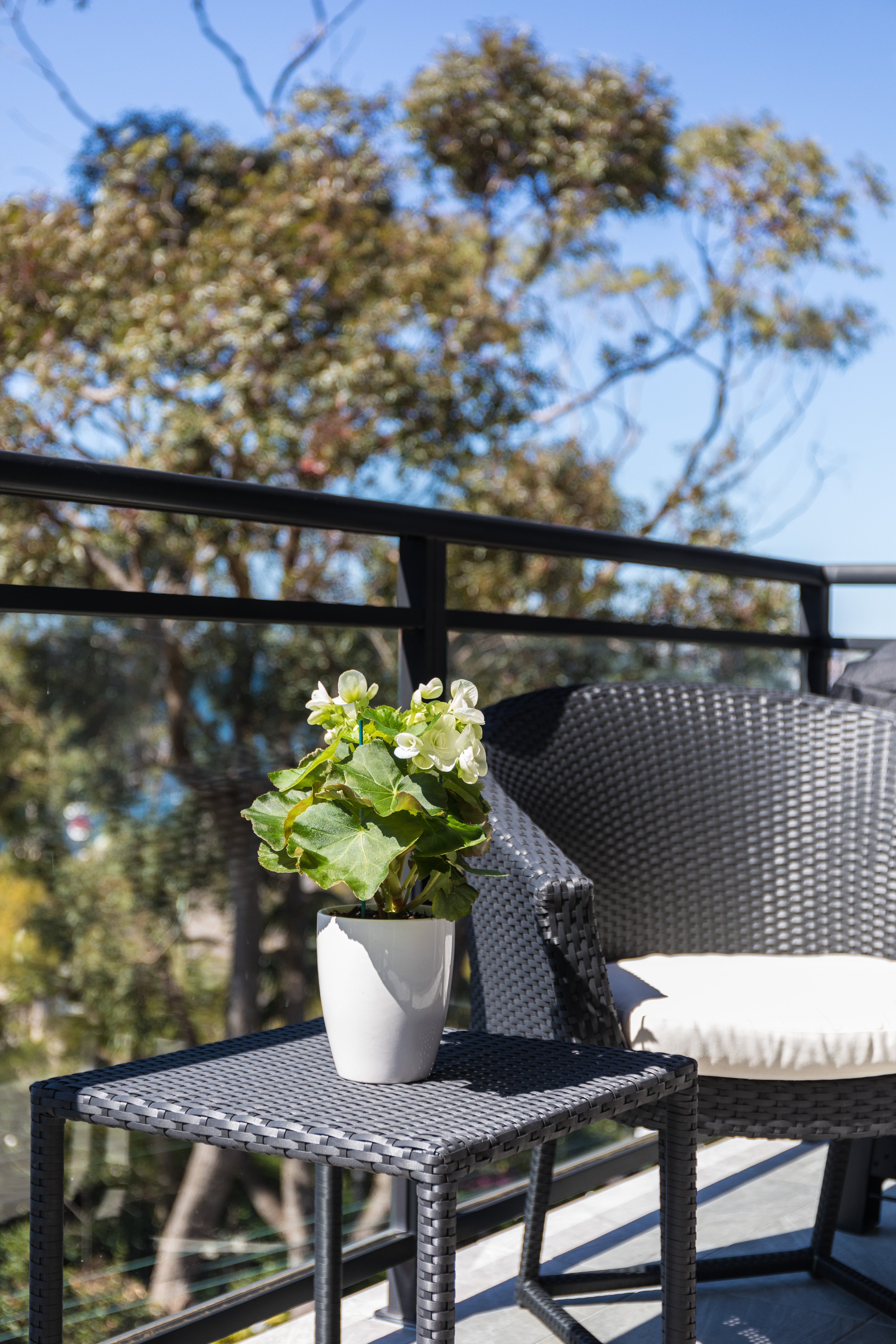 14/3 Billong Street, Neutral Bay, NSW, 2089, Neutral Bay - Thumbnail 8