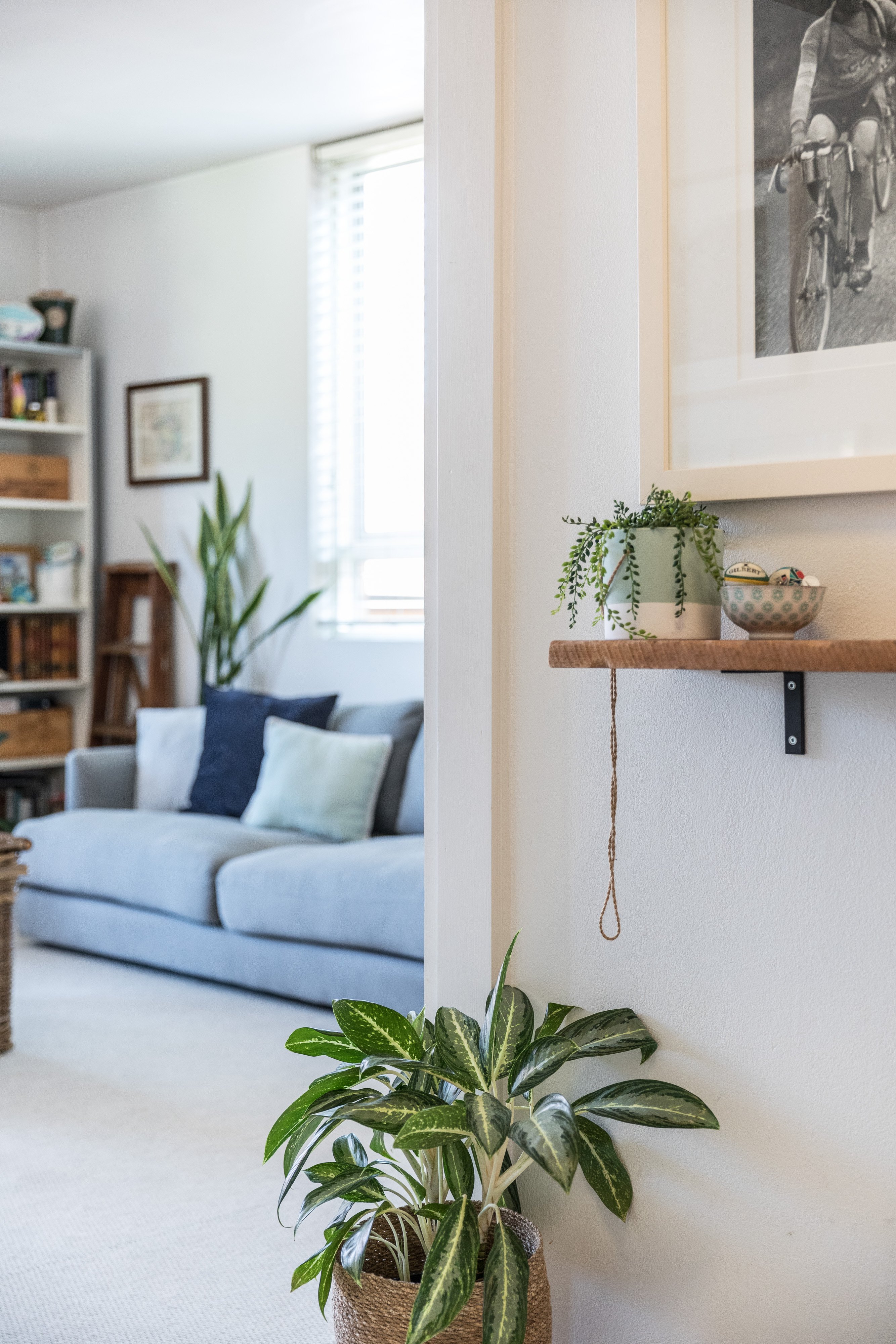 9/19 Harriette Street, Neutral Bay, NSW, 2089, Neutral Bay - Thumbnail 8