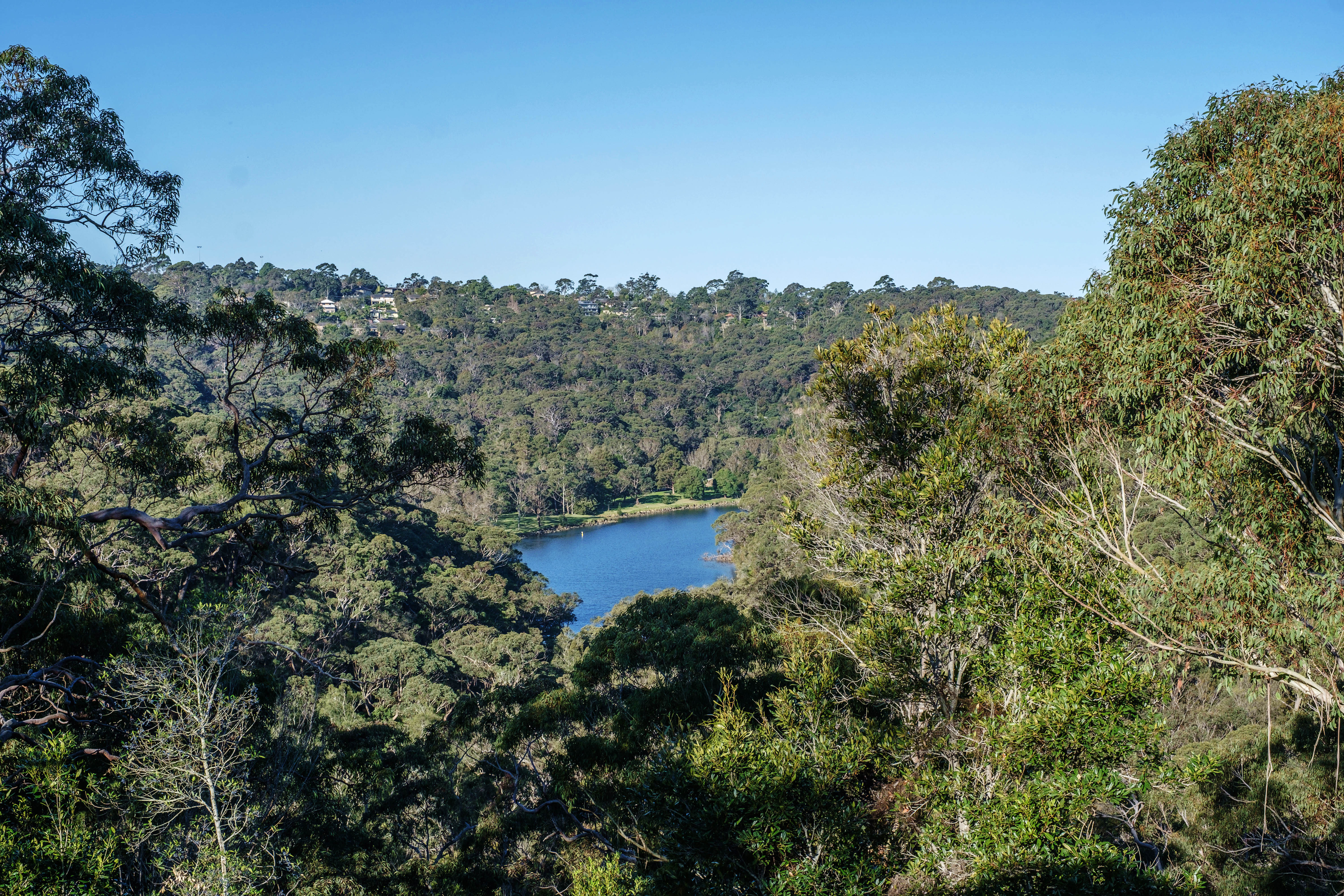 36 Carlyle Road, East Lindfield, NSW, 2070, East Lindfield - Thumbnail 6