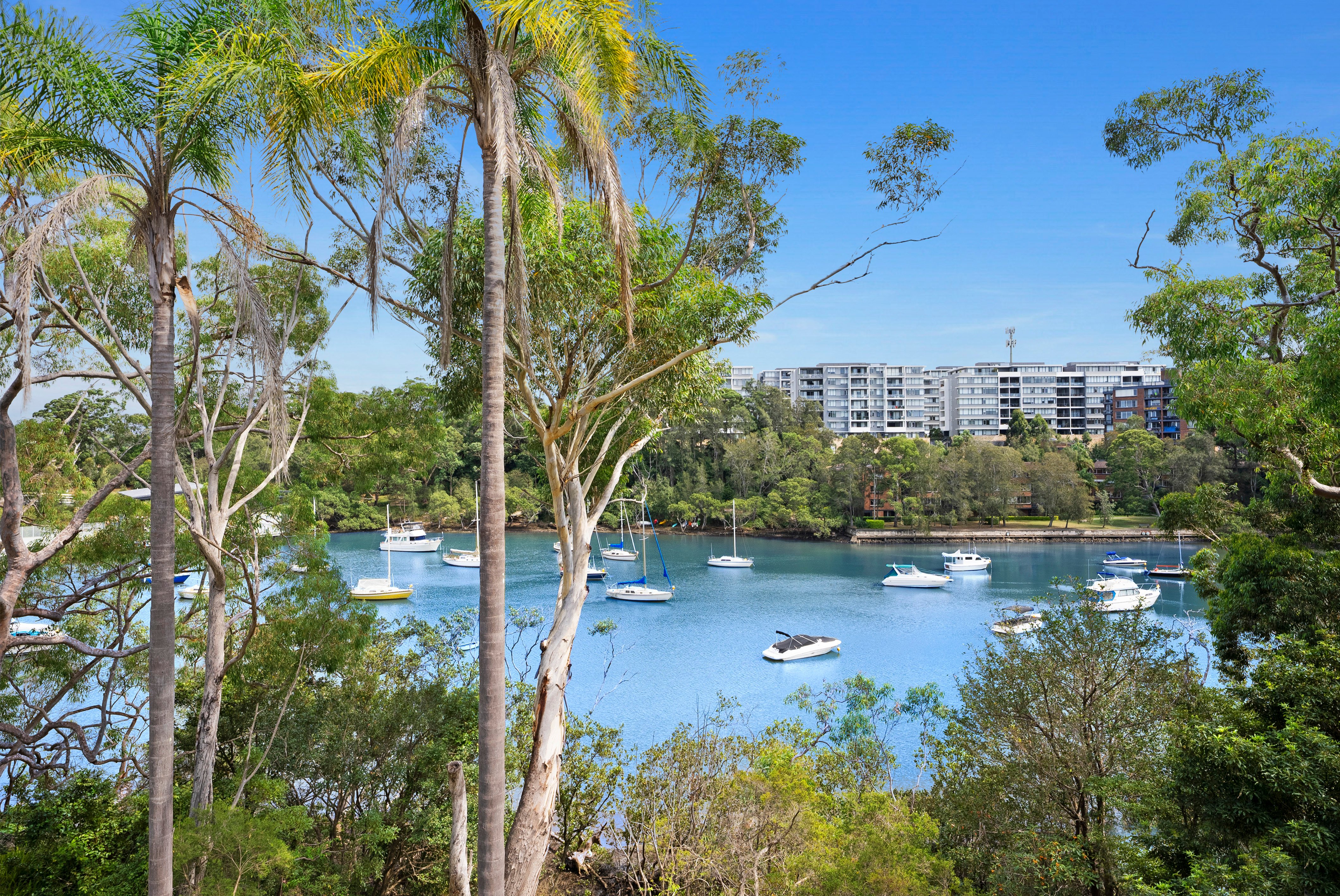 3 Coonah Parade, Riverview, NSW, 2066, Riverview - Thumbnail 2