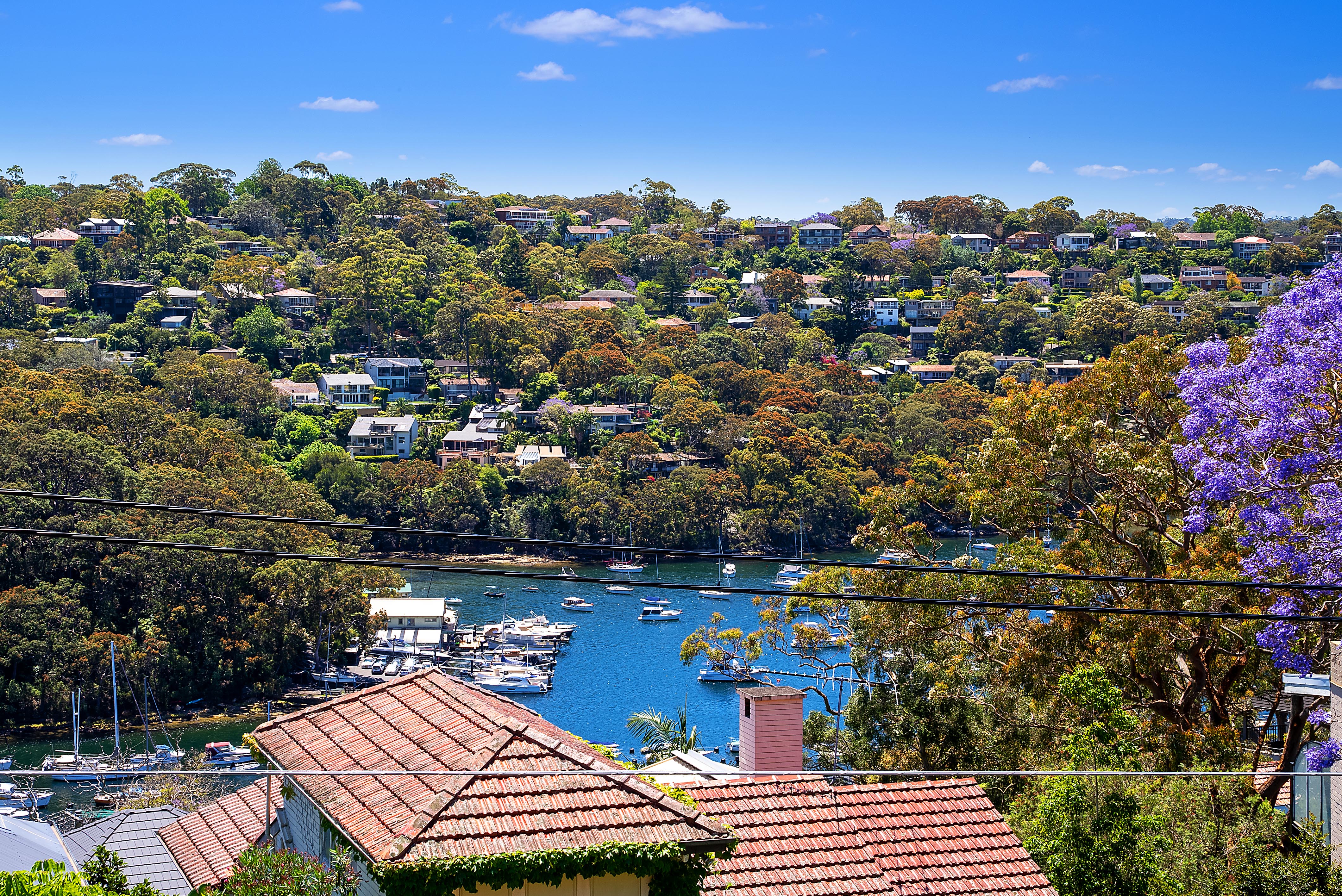 46 Minnamurra Road, Northbridge, NSW, 2063, Northbridge - Thumbnail 7