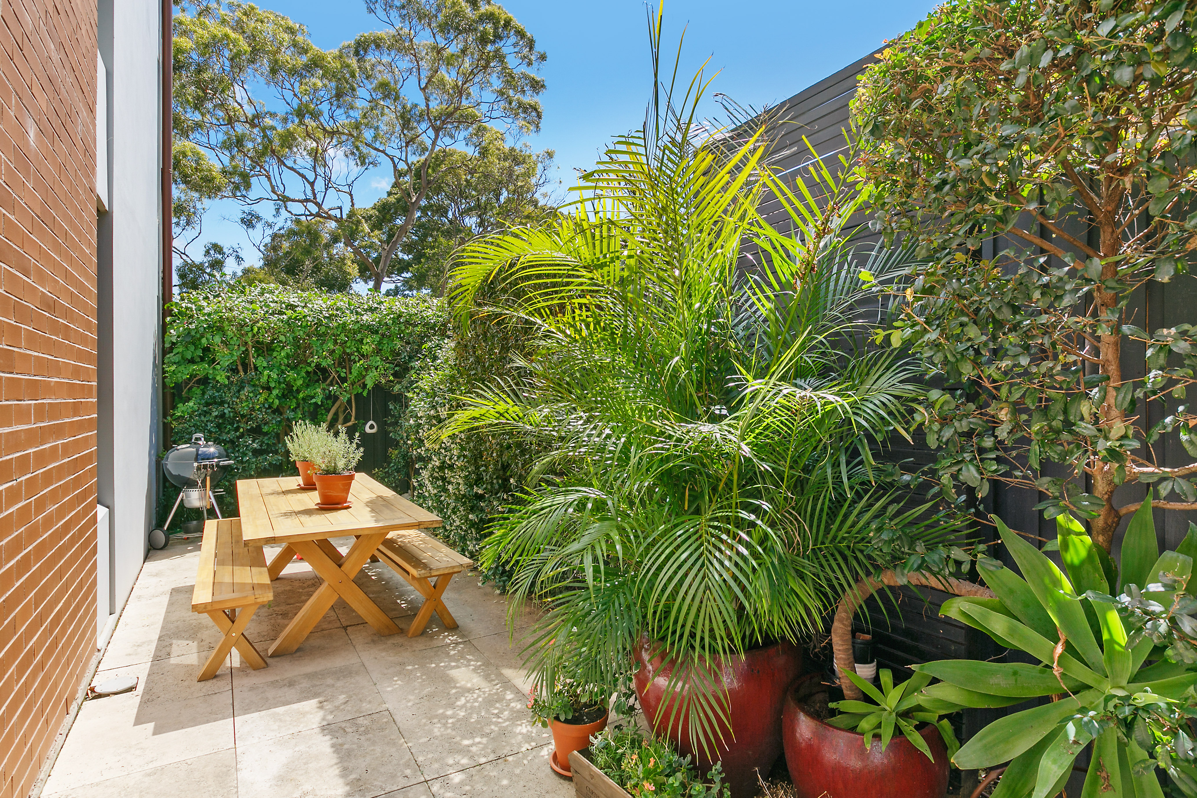 2/24 Grosvenor Street, Neutral Bay, NSW, 2089, Neutral Bay - Thumbnail 4