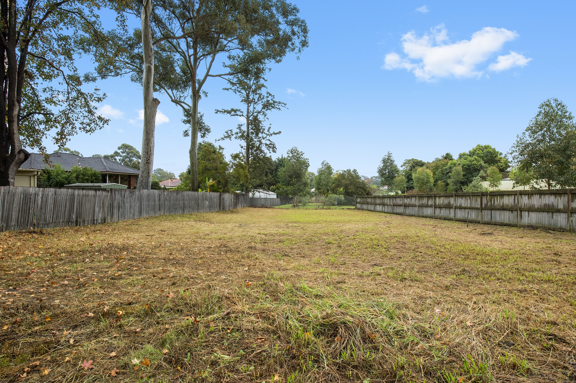 15 Grove Street, Eastwood, NSW, 2122, Eastwood - Thumbnail 6