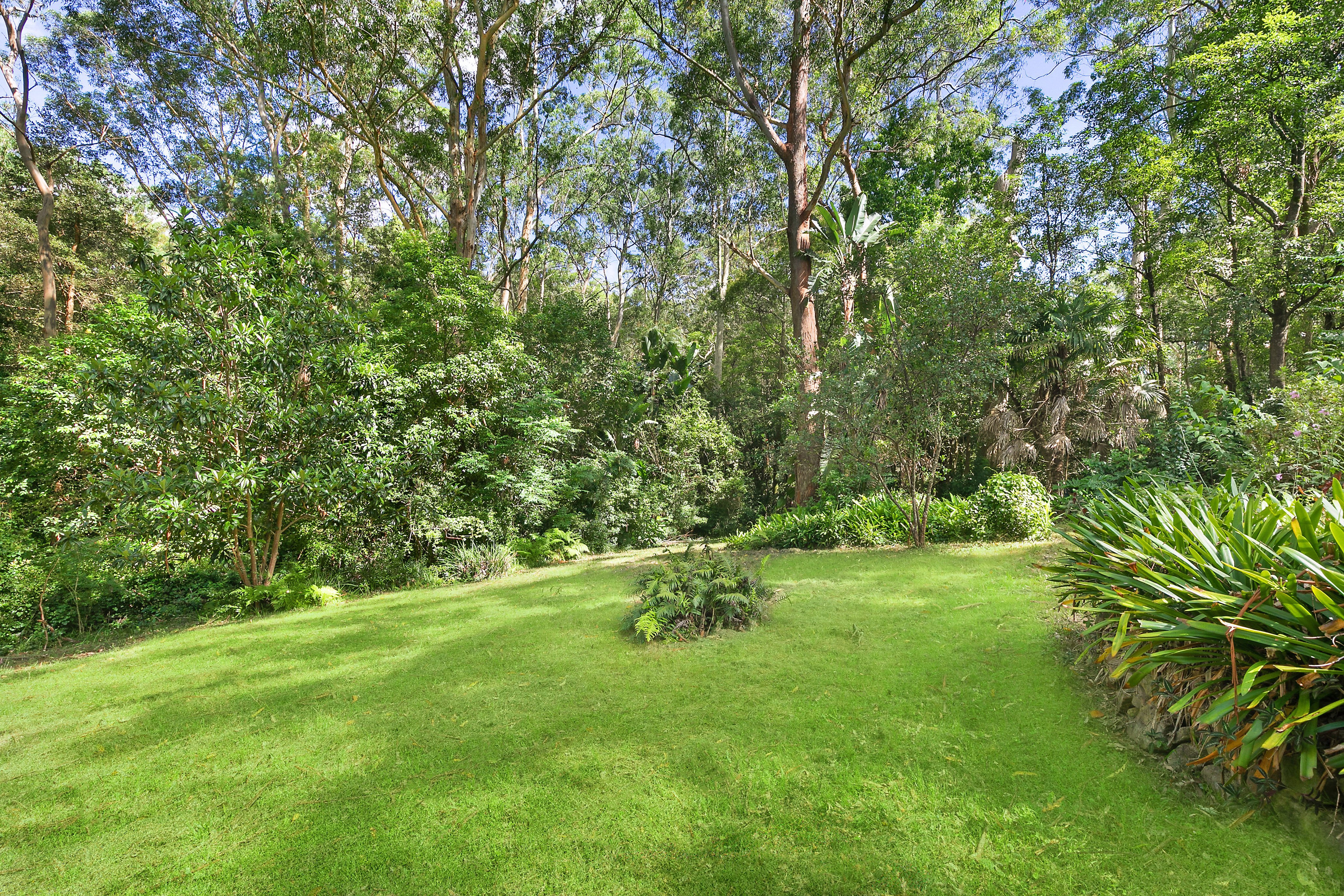 25 Roland Avenue, Wahroonga, NSW, 2076, Wahroonga - Thumbnail 5