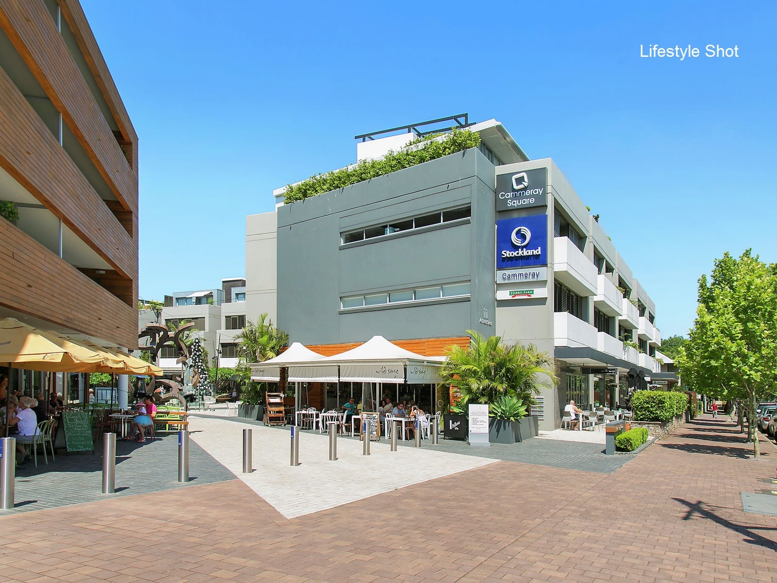 1/2 Abbott Street, Cammeray, NSW, 2062, Cammeray - Thumbnail 7