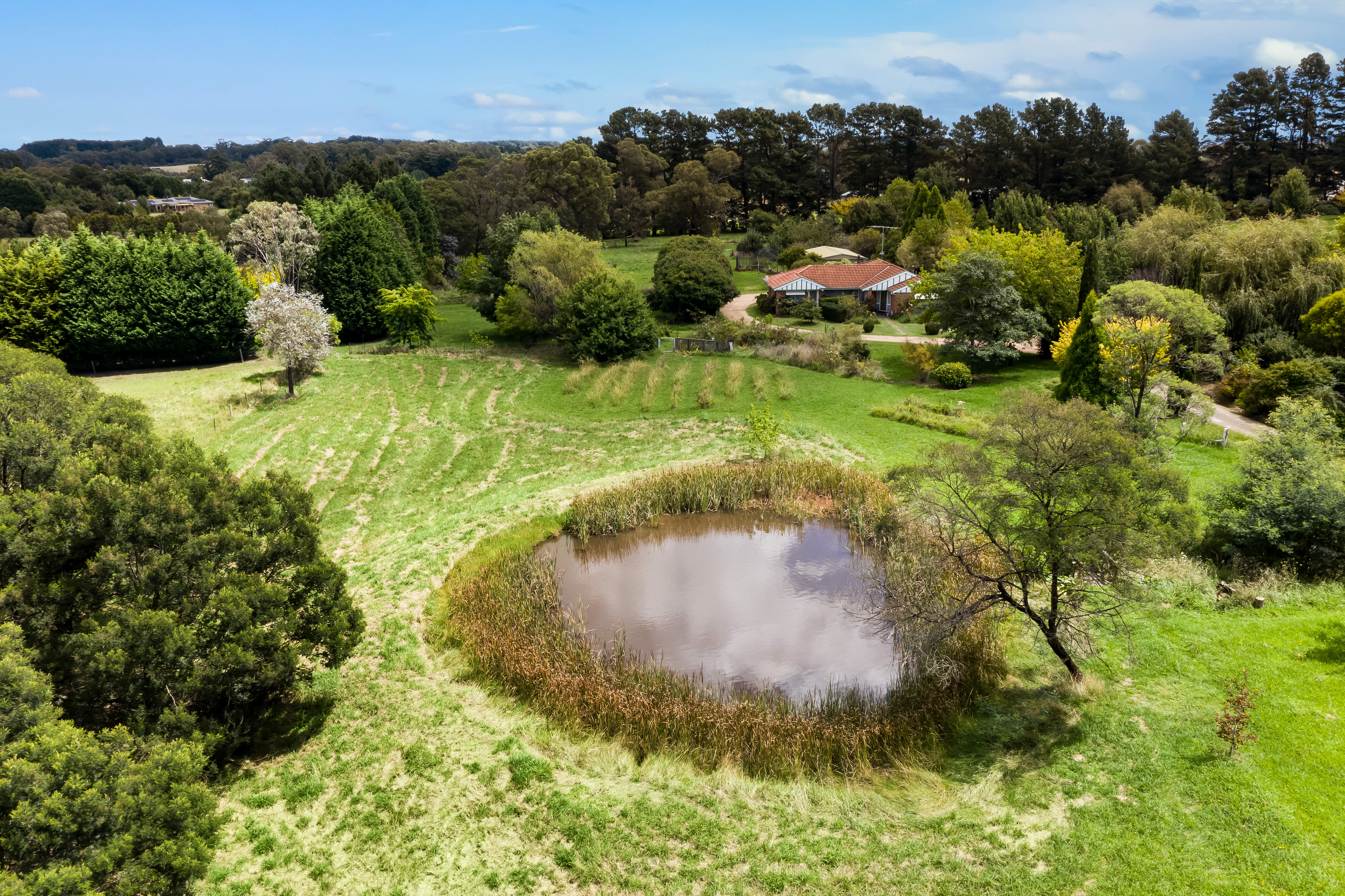 471 Ellsmore Road, Exeter, NSW, 2579, Exeter - Thumbnail 7