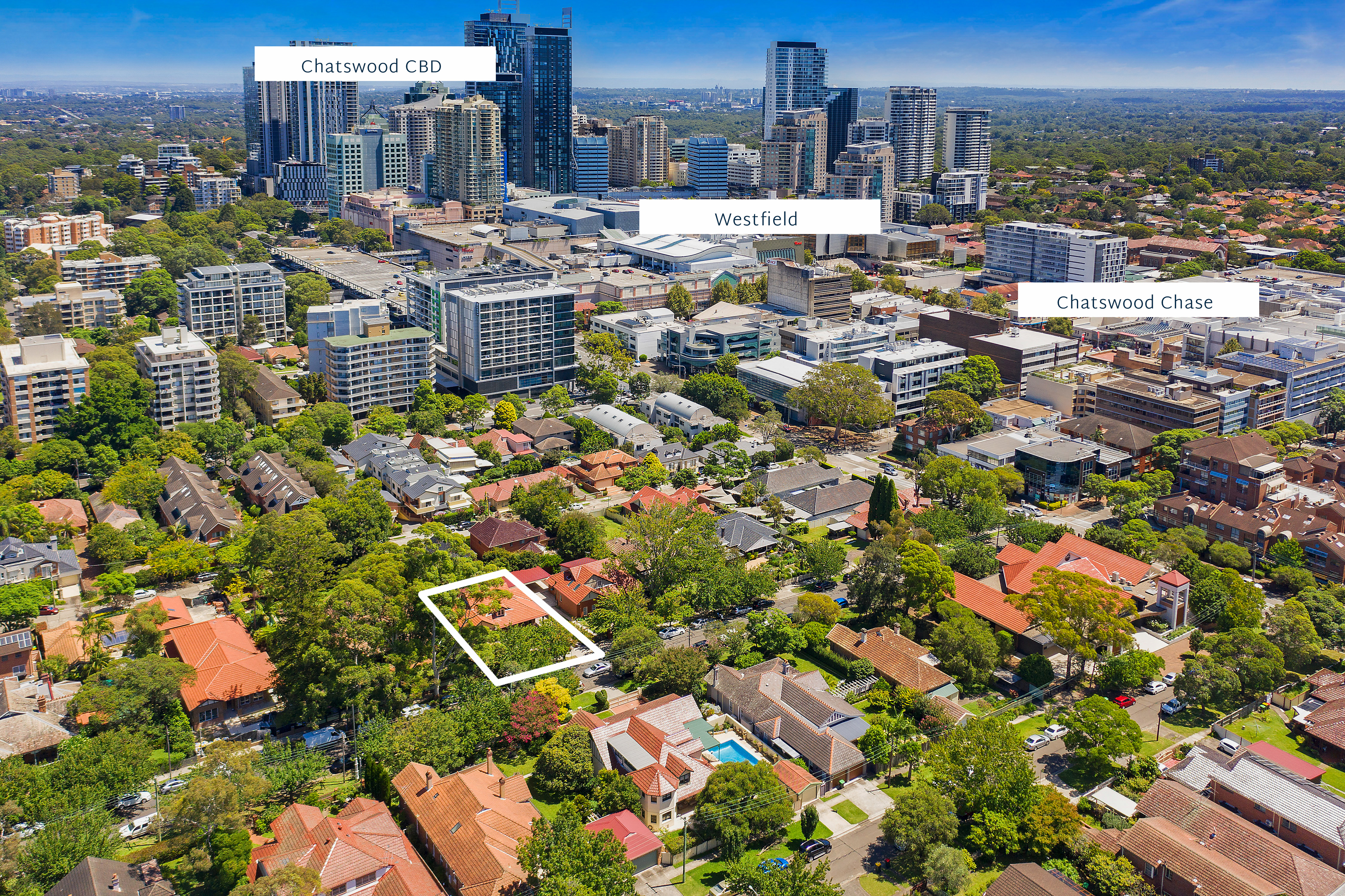 36A Neridah Street, Chatswood, NSW, 2067, Chatswood - Thumbnail 2