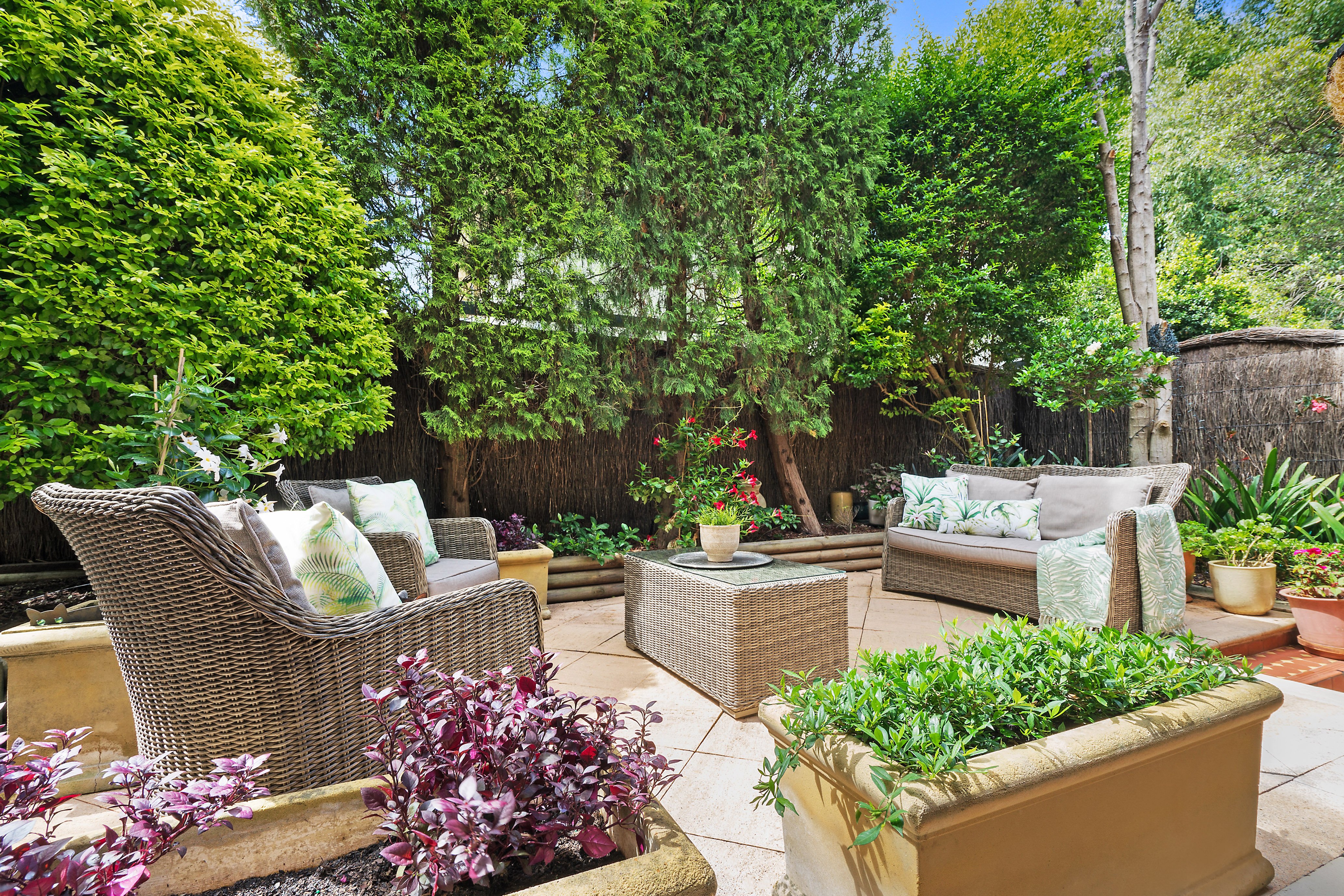 3/11 Lytton Street, Cammeray, NSW, 2062, Cammeray - Thumbnail 2