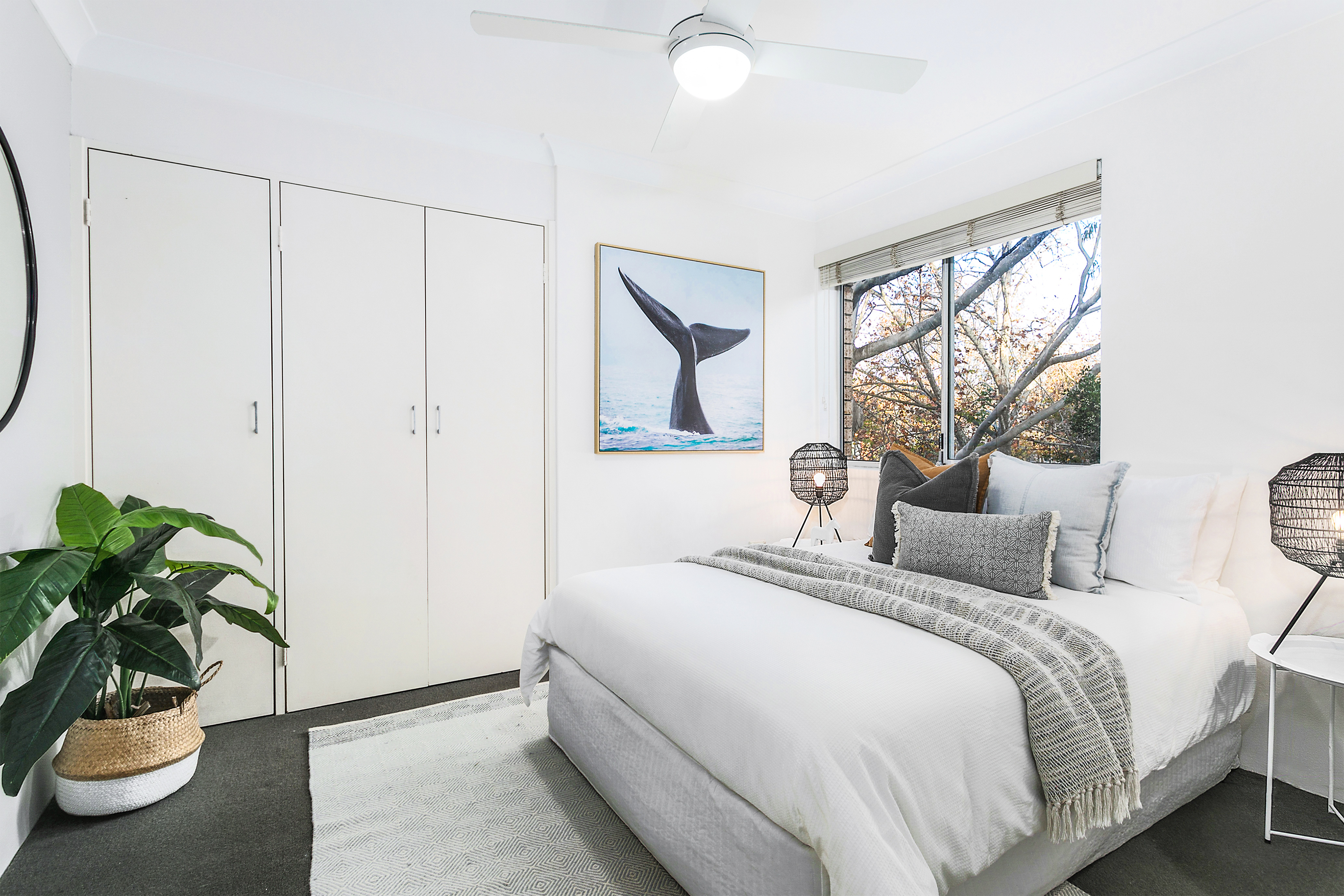 5/390 Miller Street, Cammeray, NSW, 2062, Cammeray - Thumbnail 4