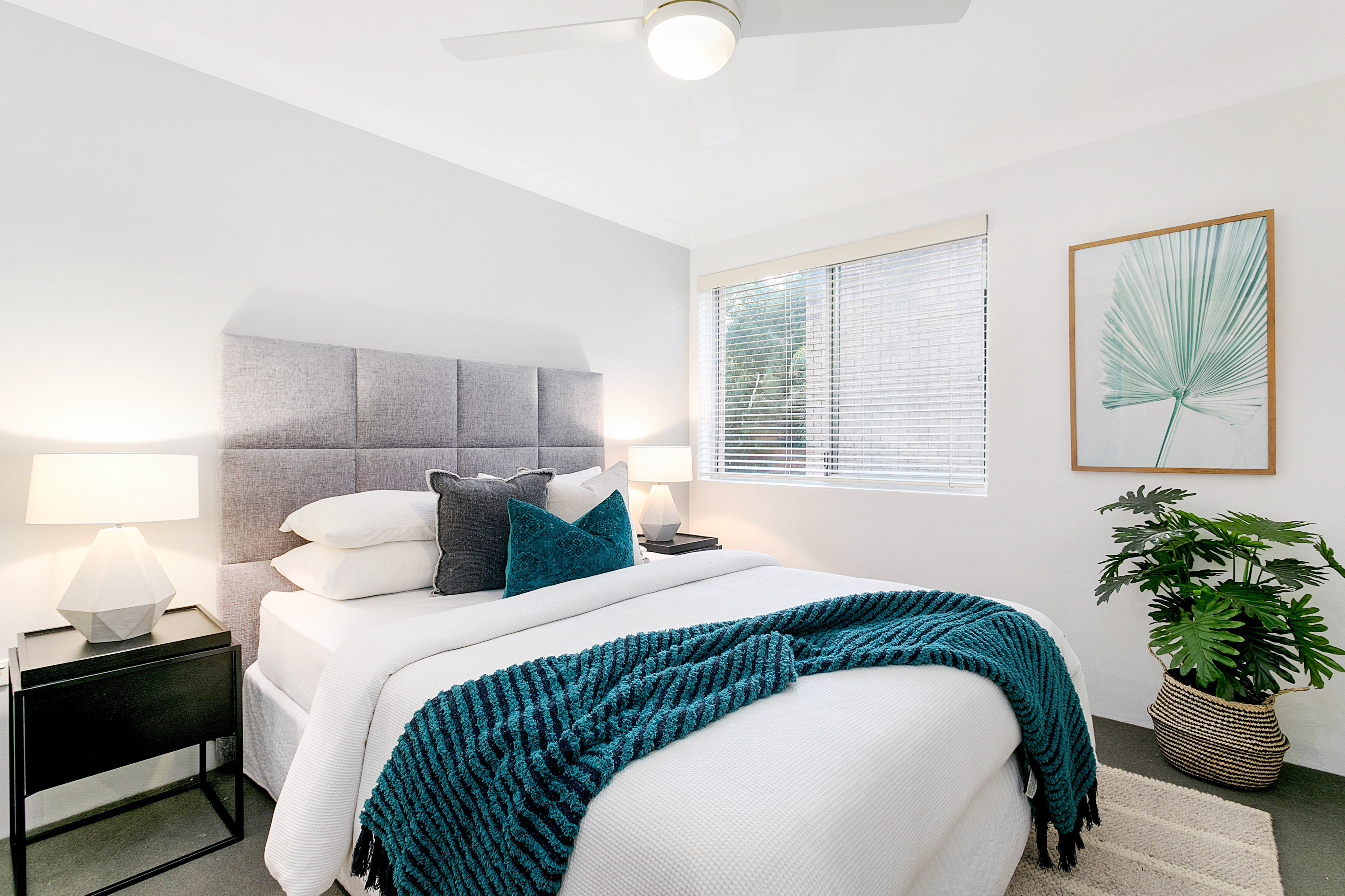 5/390 Miller Street, Cammeray, NSW, 2062, Cammeray - Thumbnail 3