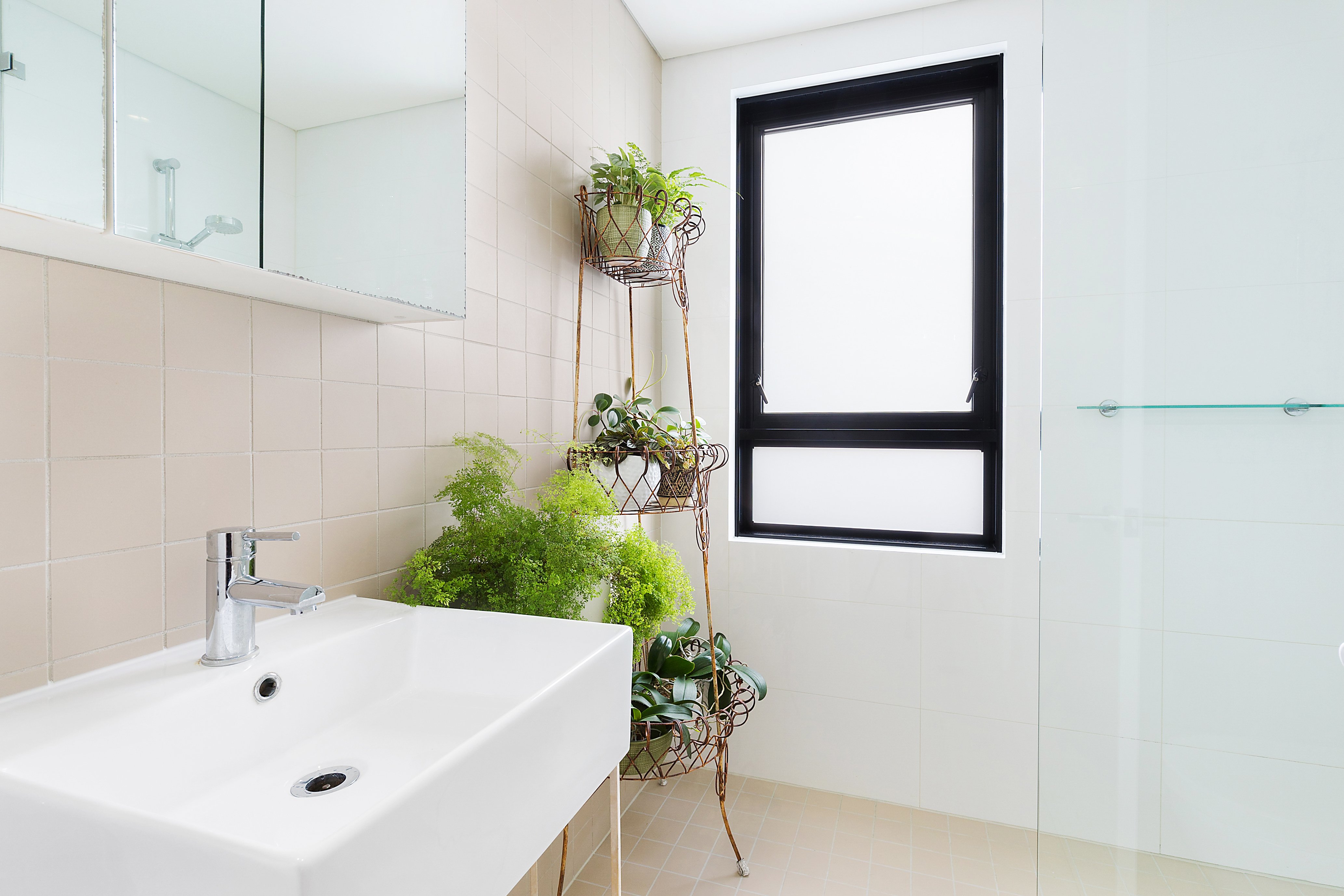 20/260 Penshurst Street, Willoughby, NSW, 2068, Willoughby - Thumbnail 6