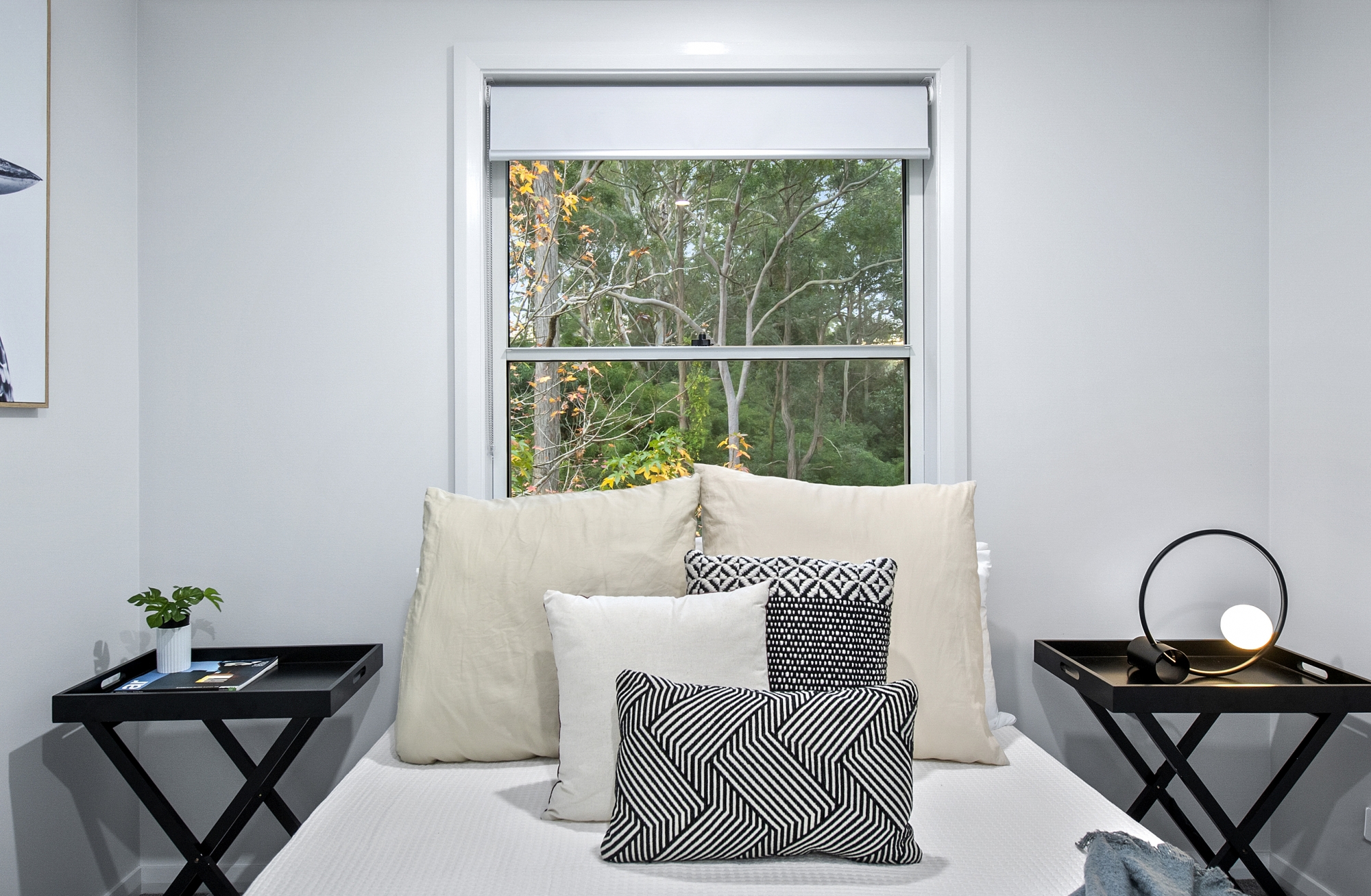 18A Sefton Road, Thornleigh, NSW, 2120, Thornleigh - Thumbnail 6