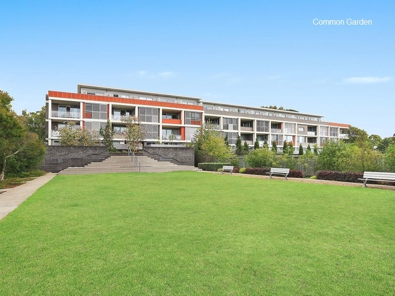 38/331 Miller Street, Cammeray, NSW, 2062, Cammeray - Thumbnail 8