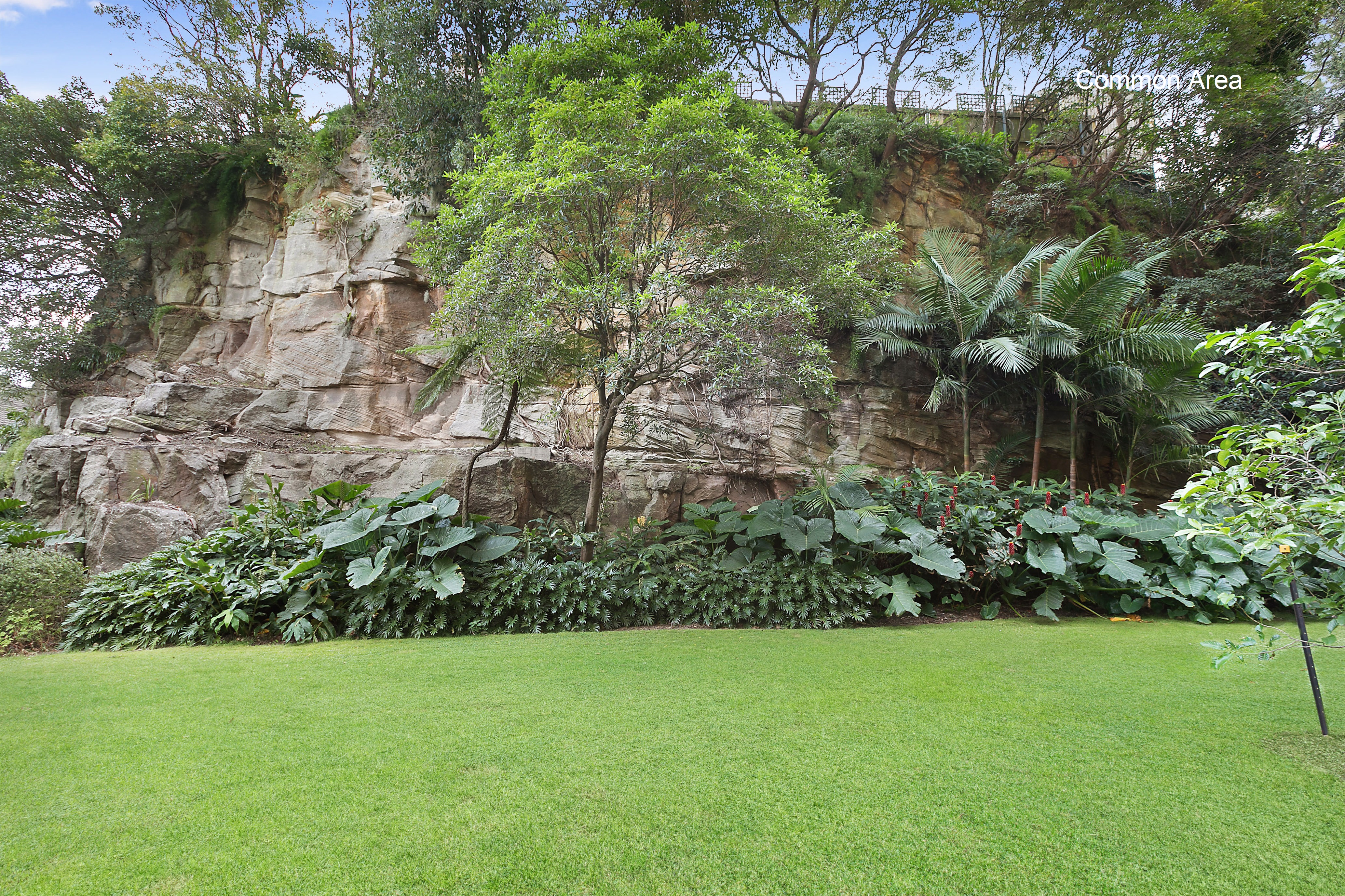 44/55 Carter Street, Cammeray, NSW, 2062, Cammeray - Thumbnail 6