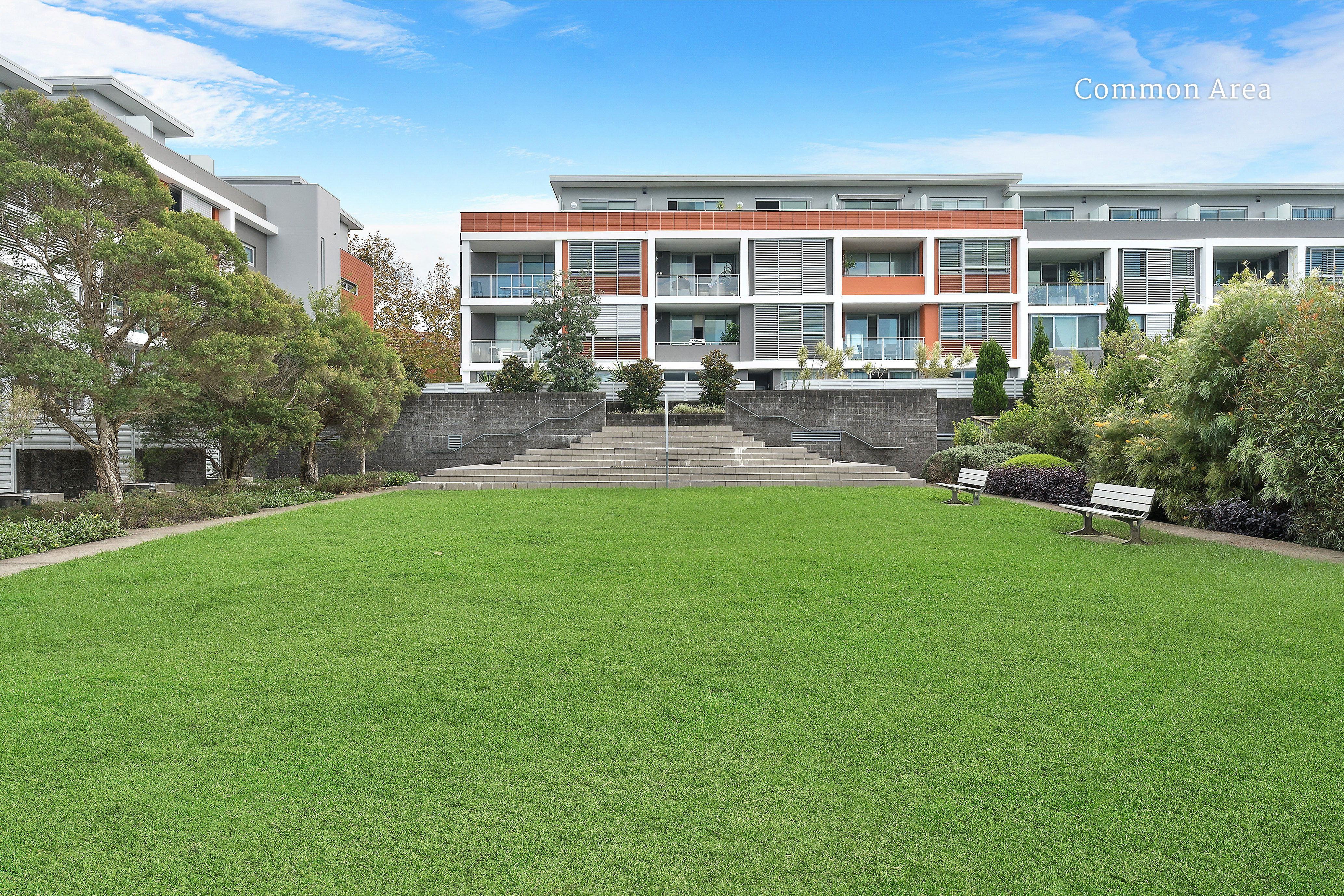 37/331 Miller Street, Cammeray, NSW, 2062, Cammeray - Thumbnail 6