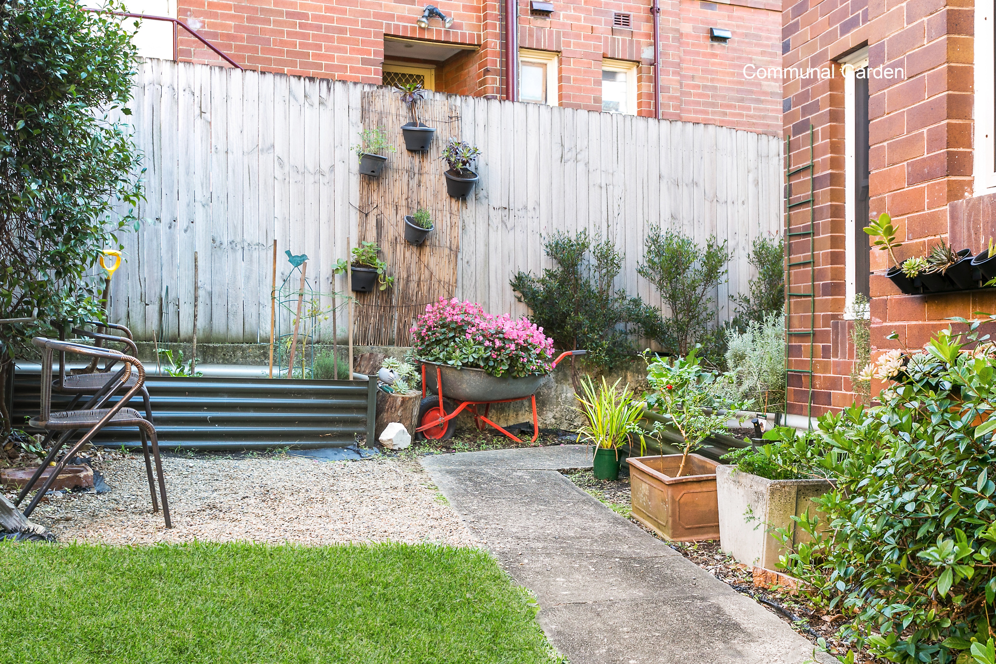 1/20 Grafton Street, Cammeray, NSW, 2062, Cammeray - Thumbnail 6