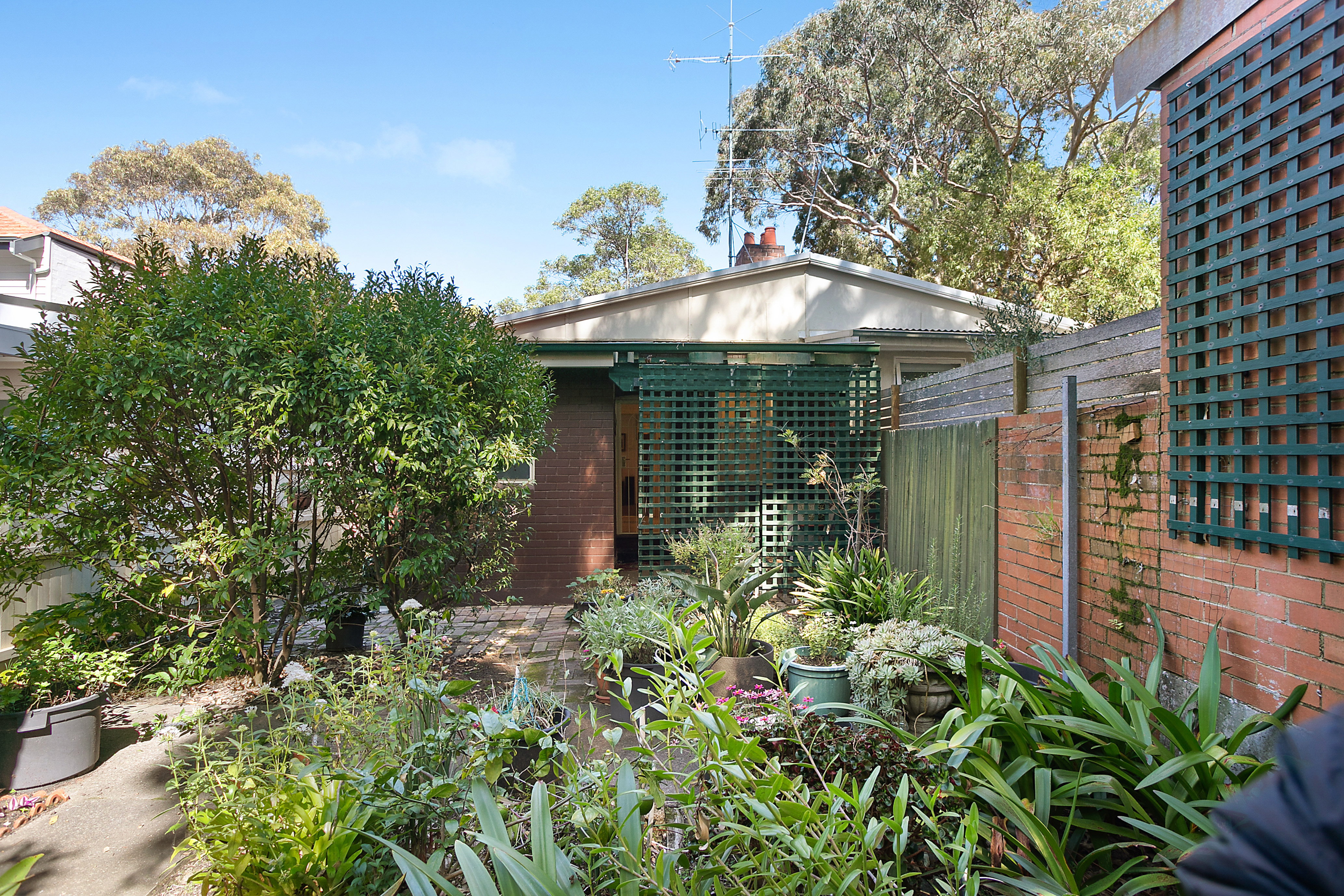 17 Melrose Street, Mosman, NSW, 2088, Mosman - Thumbnail 7