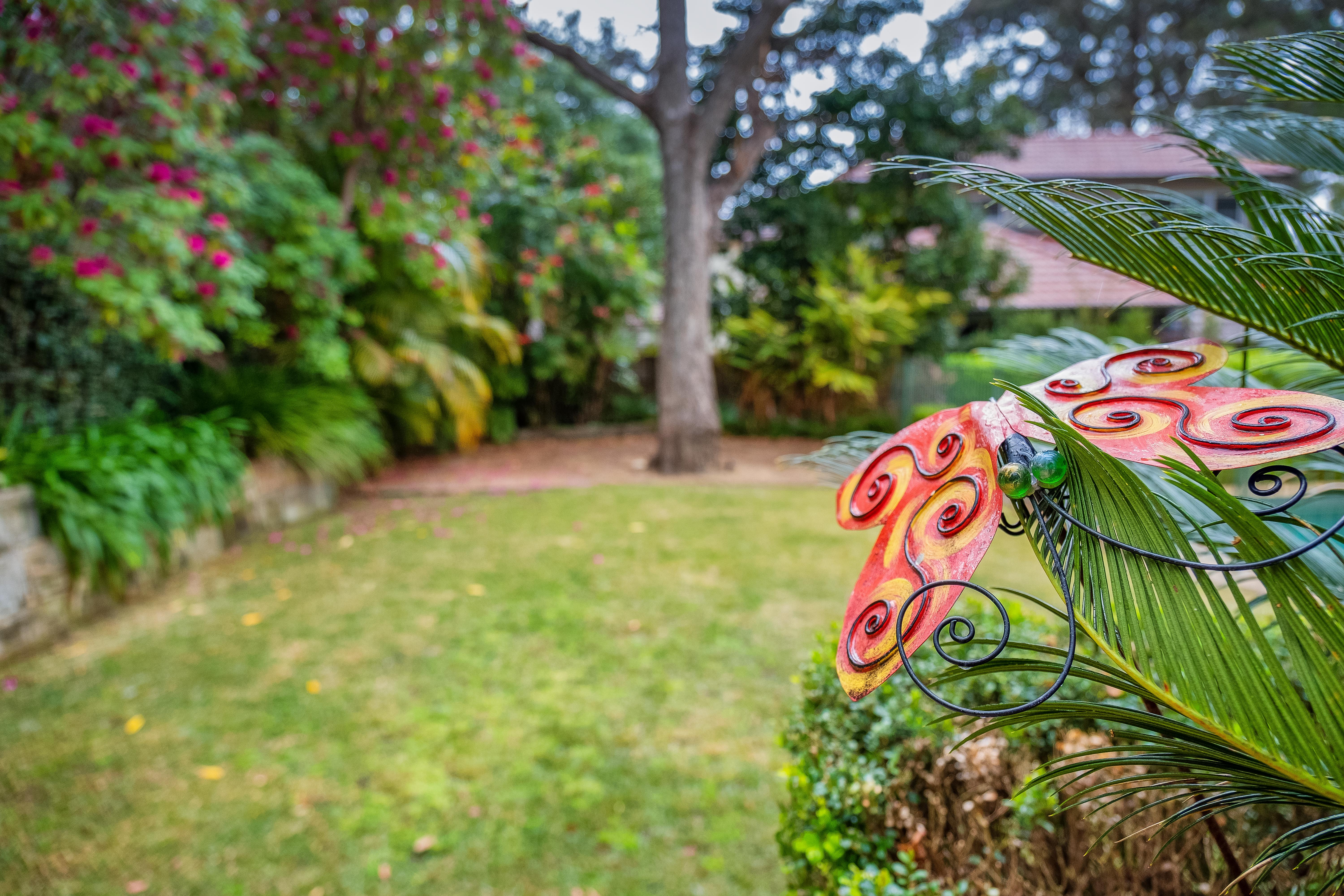 34 Bushlands Avenue, Gordon, NSW, 2072, Gordon - Thumbnail 6