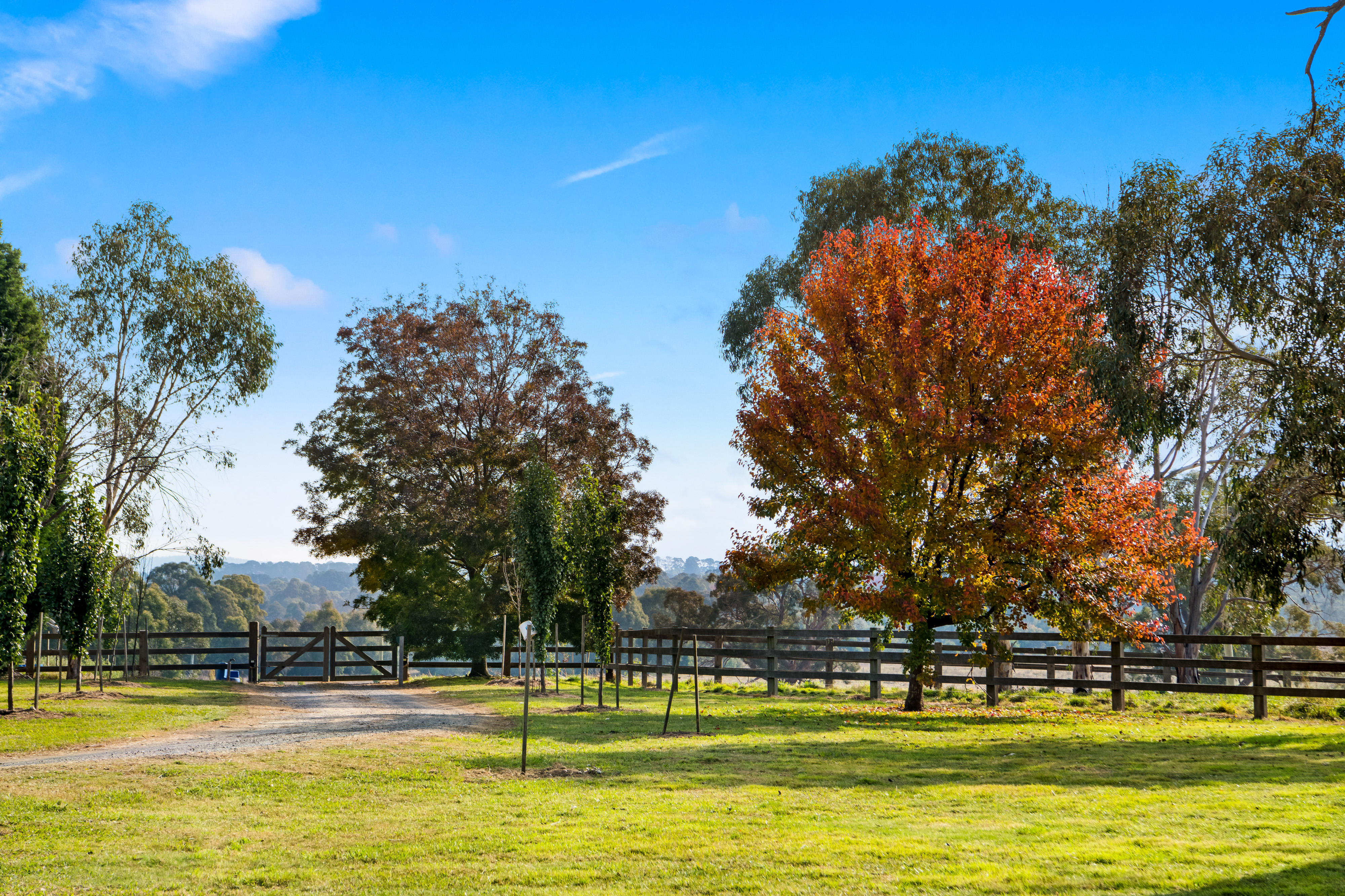 154 Headlam Road, Moss Vale, NSW, 2577, Moss Vale - Thumbnail 2