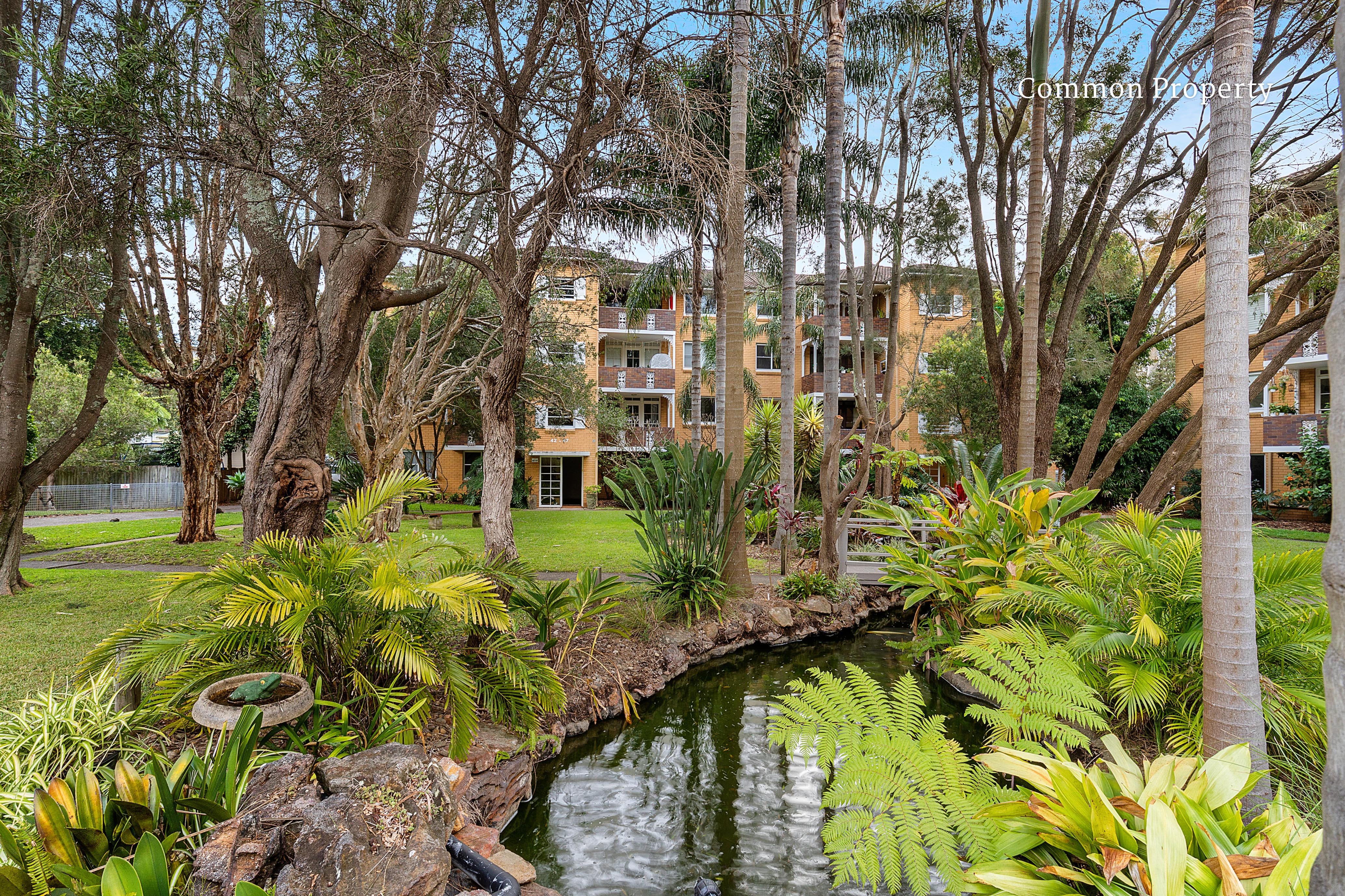 45/33 Palomar Parade, Freshwater, NSW, 2096, Freshwater - Thumbnail 6