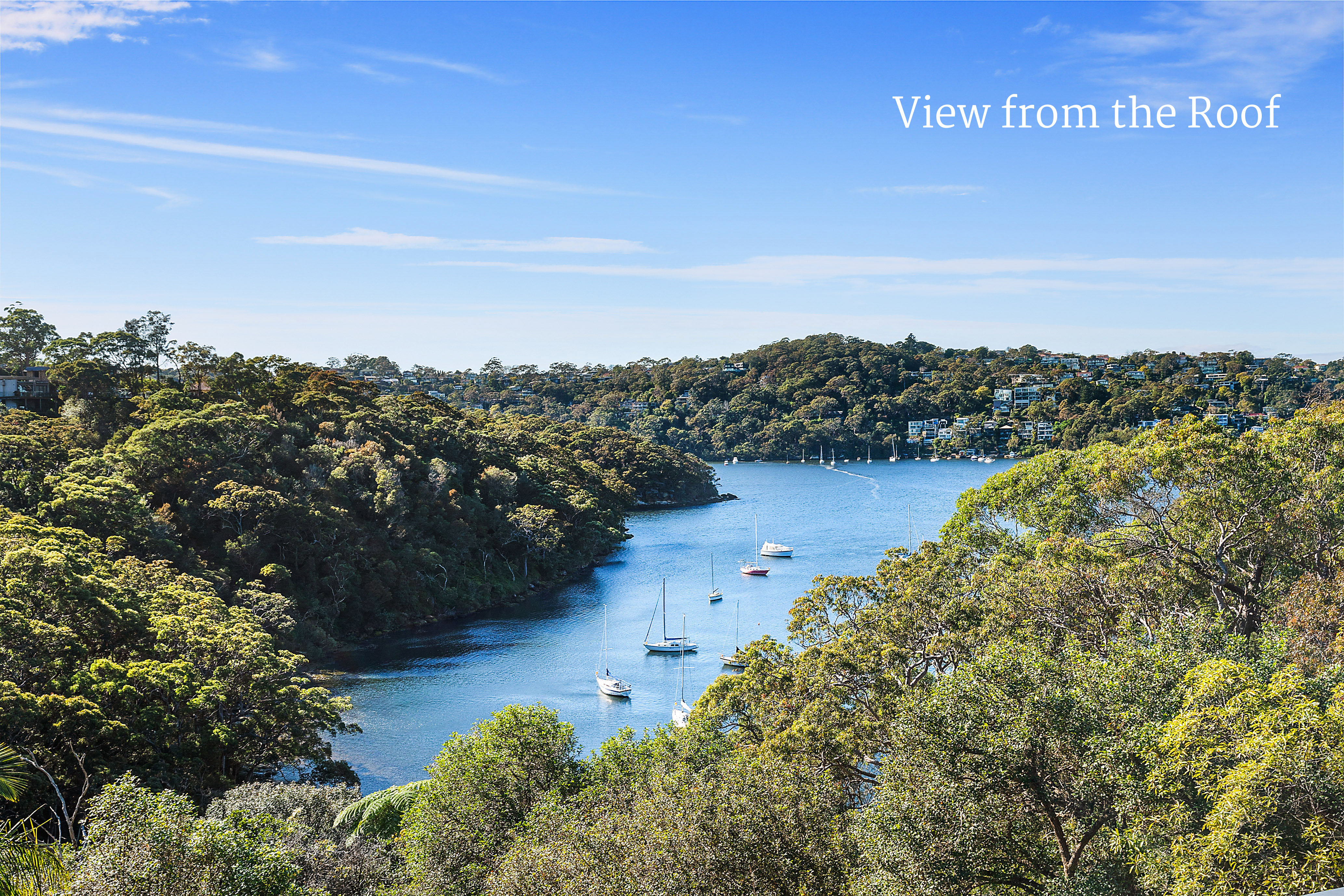 31 Willis Road, Castle Cove, NSW, 2069, Castle Cove - Thumbnail 6