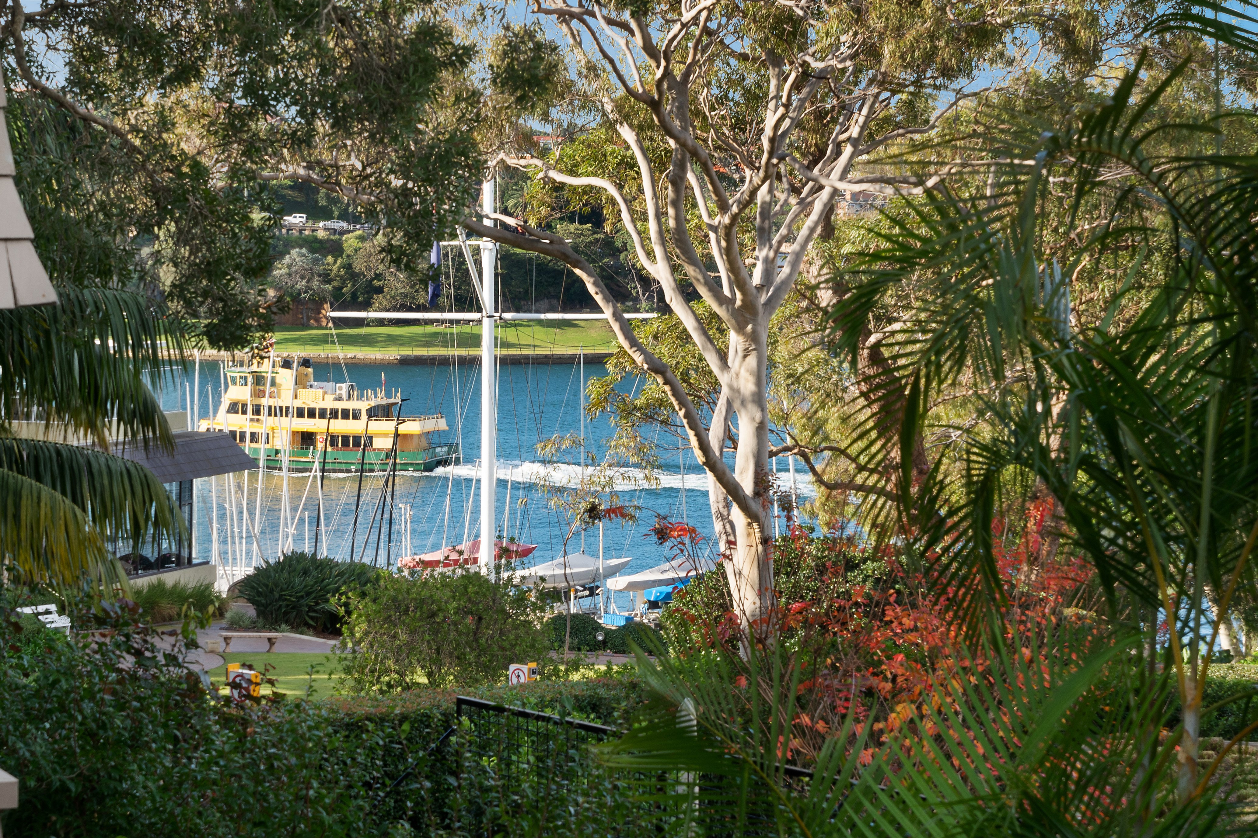 29 Peel Street, Kirribilli, NSW, 2061, Kirribilli - Thumbnail 3