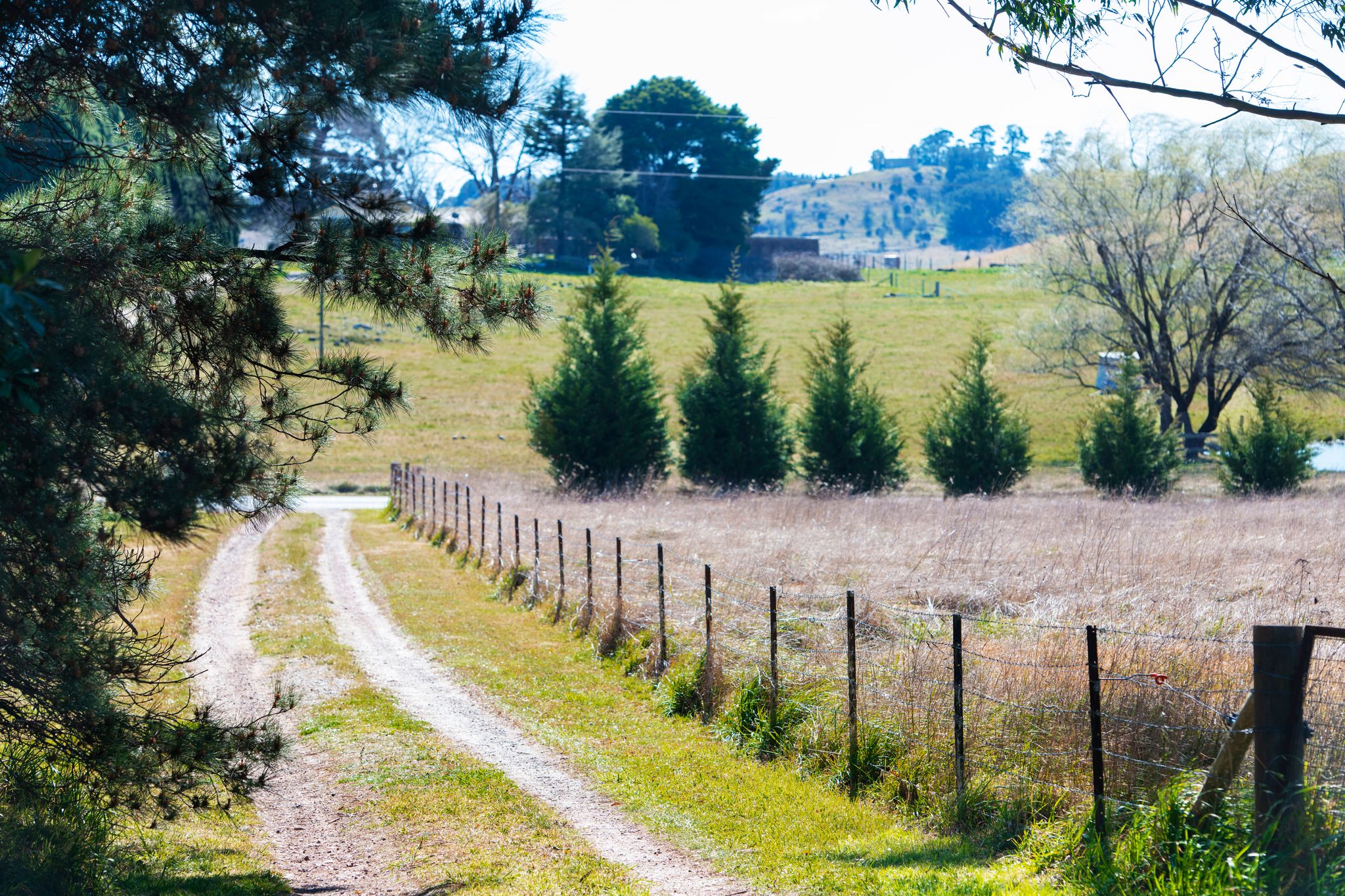 158 Yarrawa Road, Moss Vale, NSW, 2577, Moss Vale - Thumbnail 6