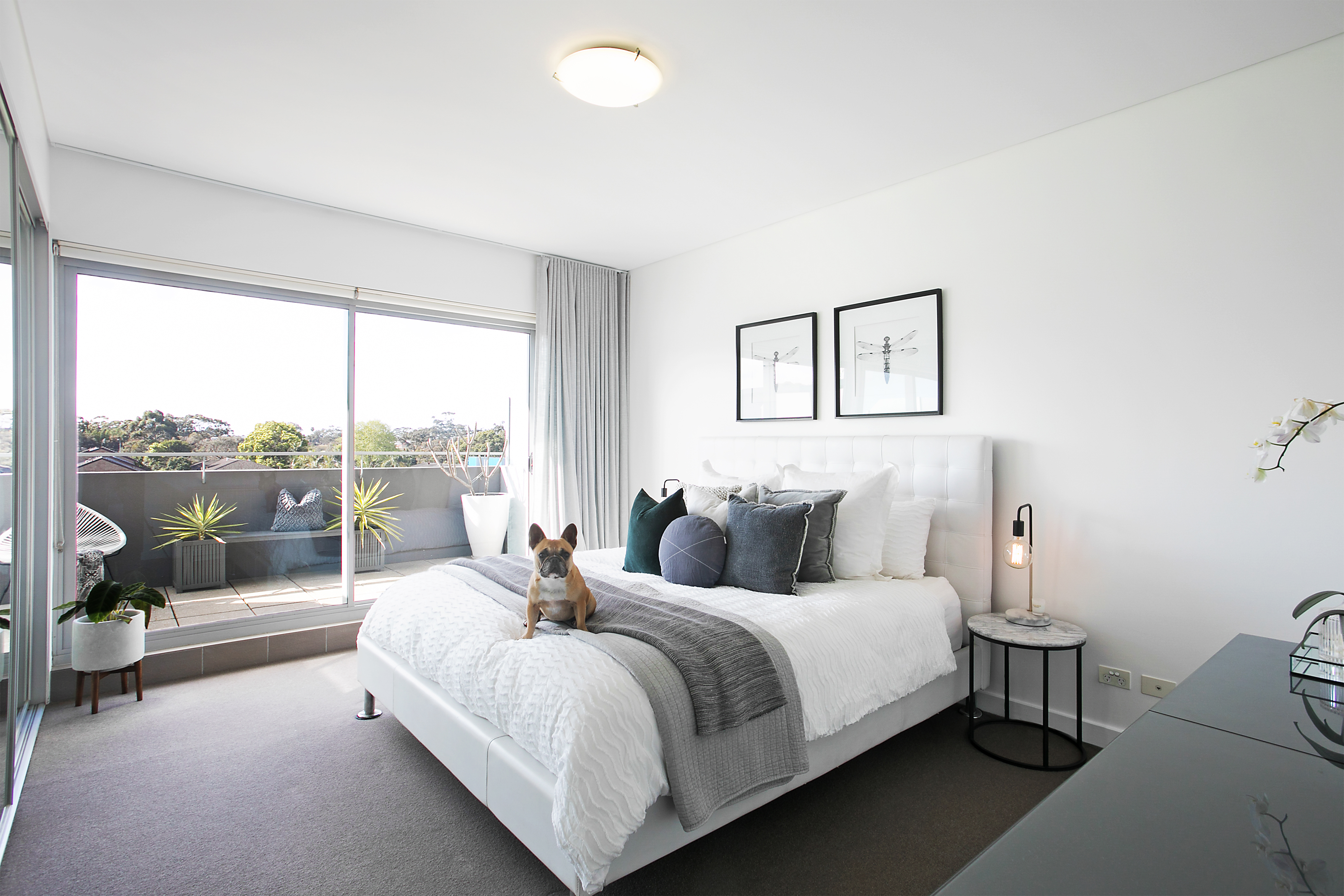 47/331 Miller Street, Cammeray, NSW, 2062, Cammeray - Thumbnail 5