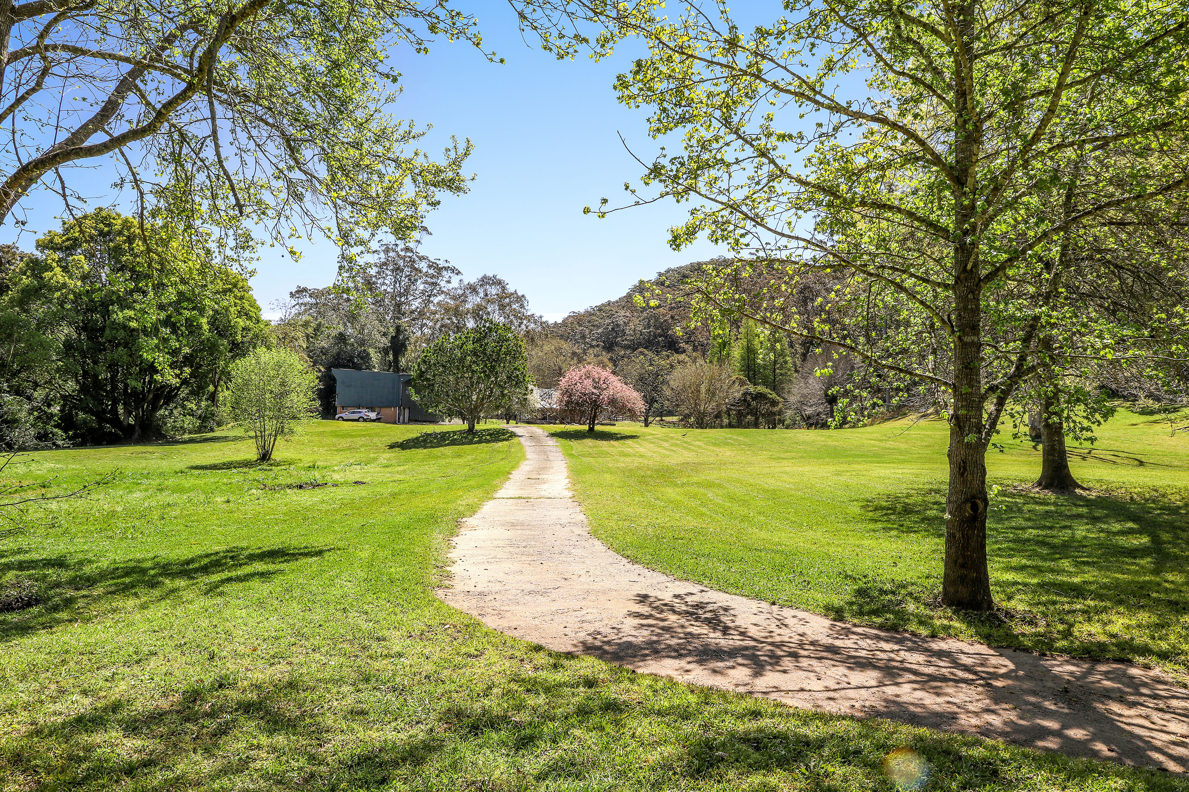 101 Palmdale Road, Palmdale, NSW, 2258, Palmdale - Thumbnail 4