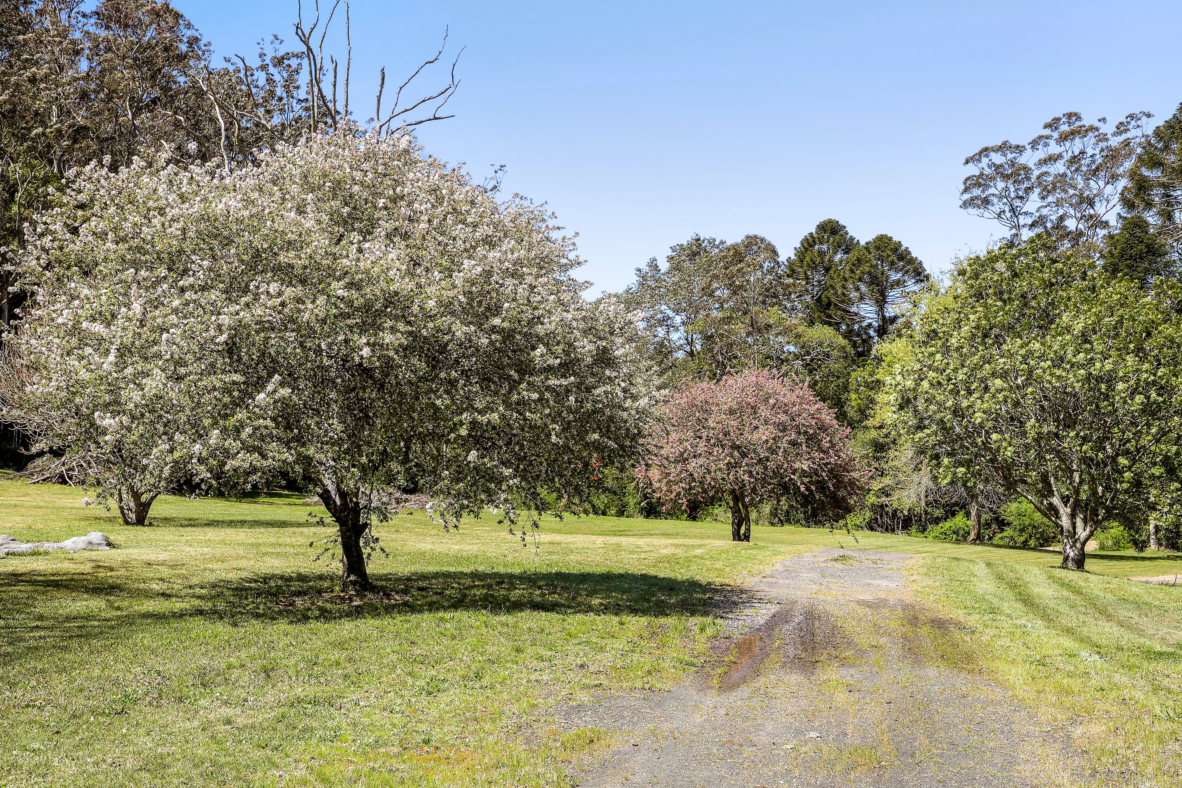 101 Palmdale Road, Palmdale, NSW, 2258, Palmdale - Thumbnail 5