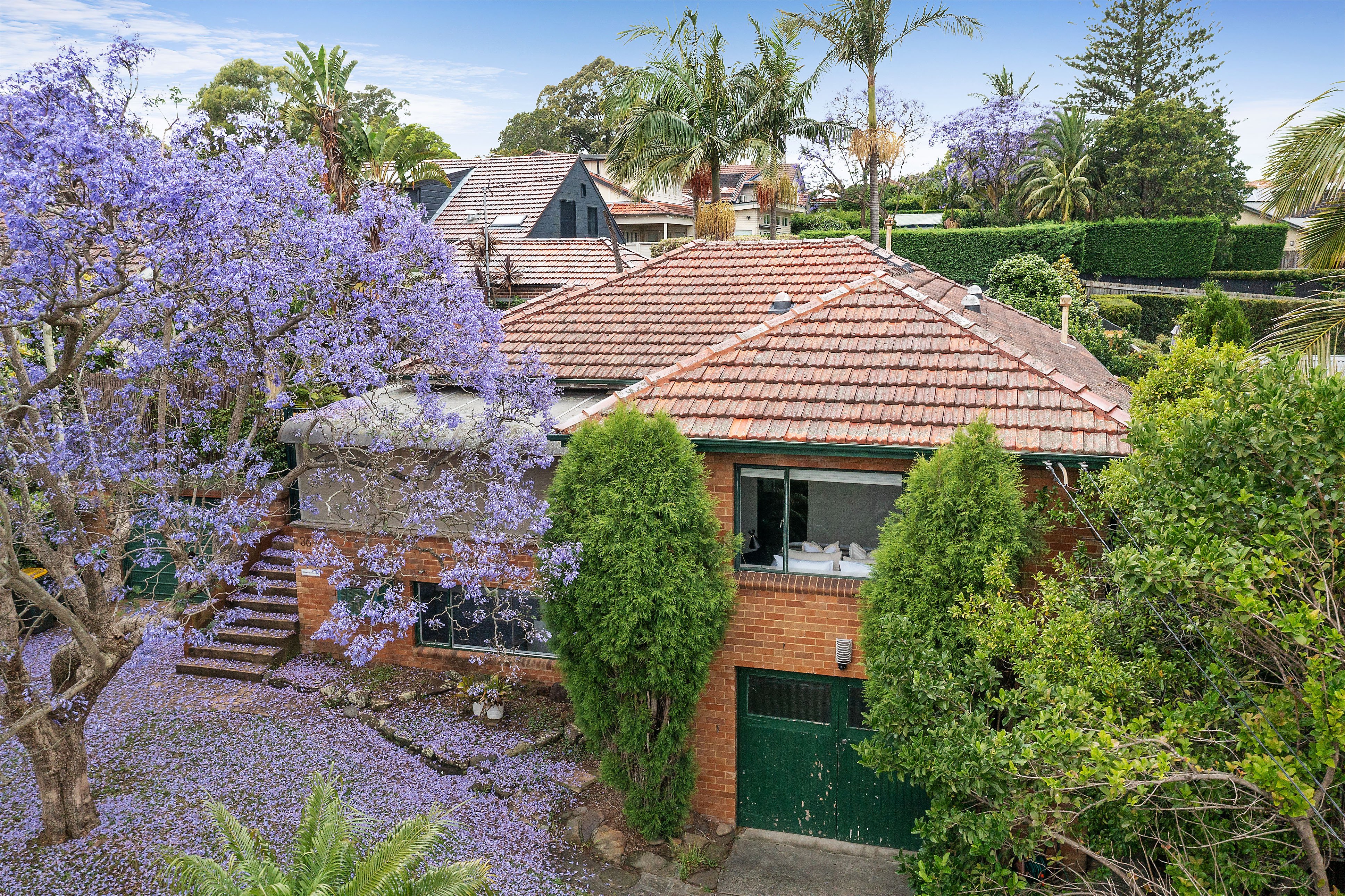 36 Wyalong Street, Willoughby, NSW, 2068, Willoughby - Thumbnail 5