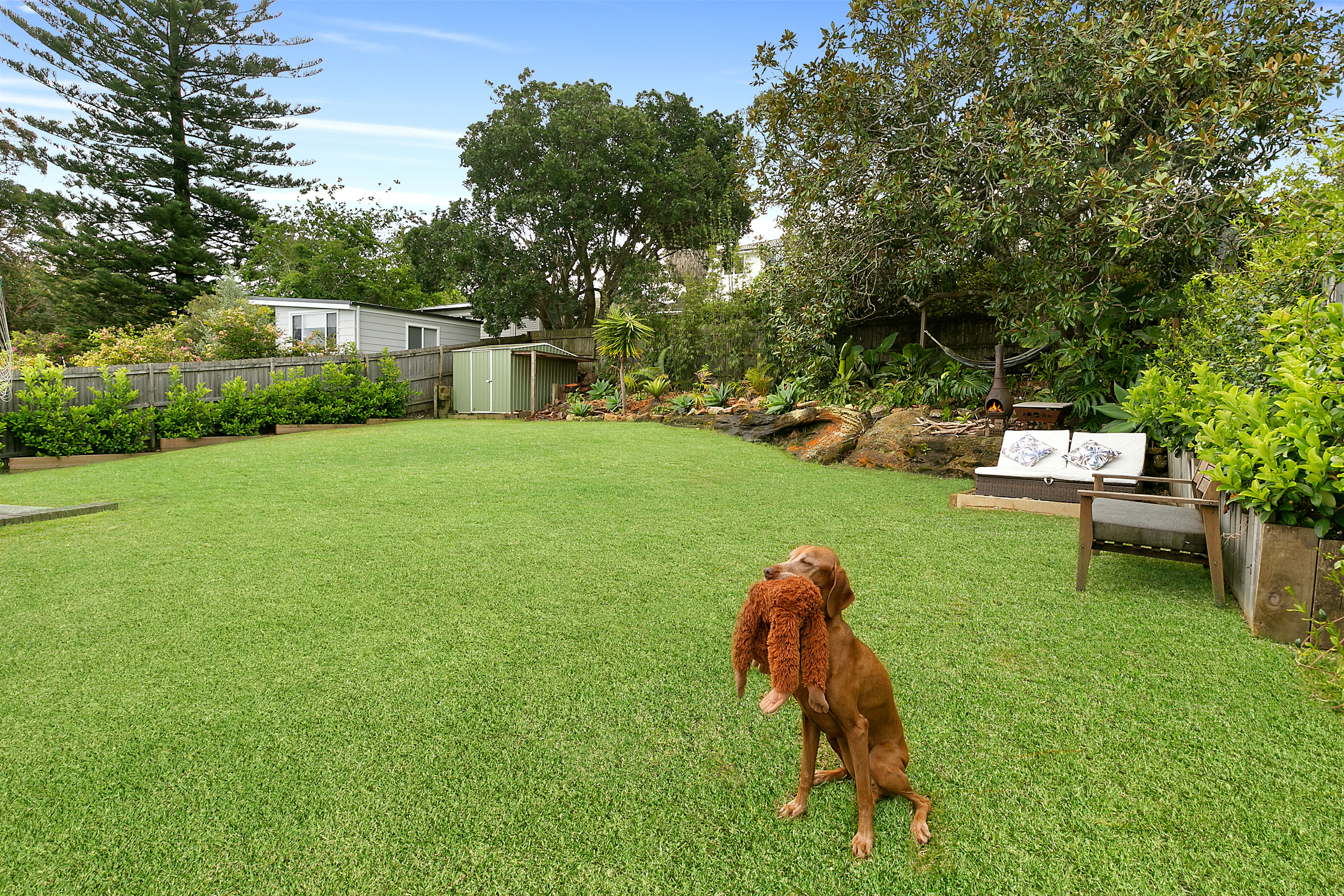 8 Koorangi Avenue, Elanora Heights, NSW, 2101, Elanora Heights - Thumbnail 5