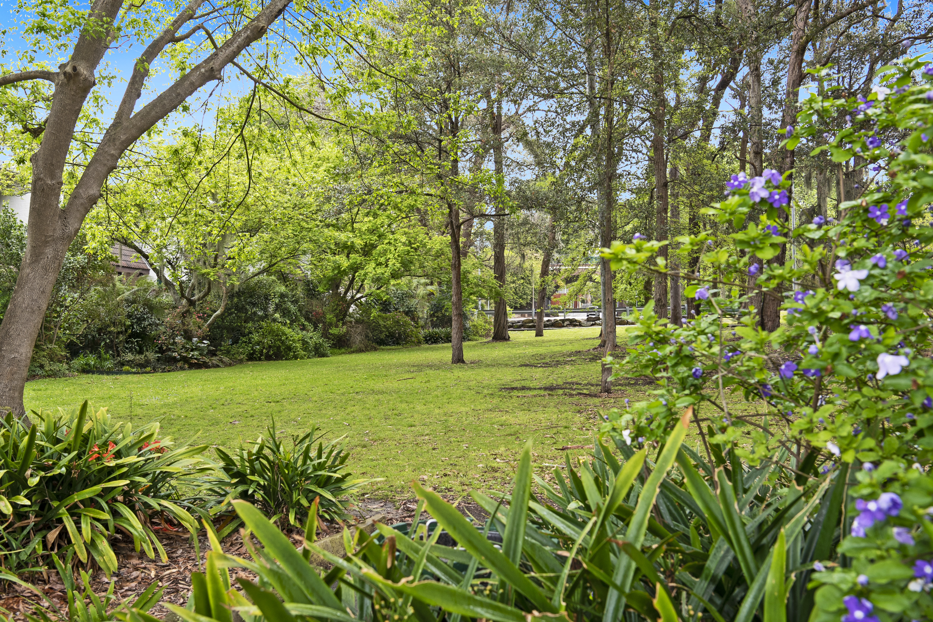 15/65A Werona Avenue, Gordon, NSW, 2072, Gordon - Thumbnail 5
