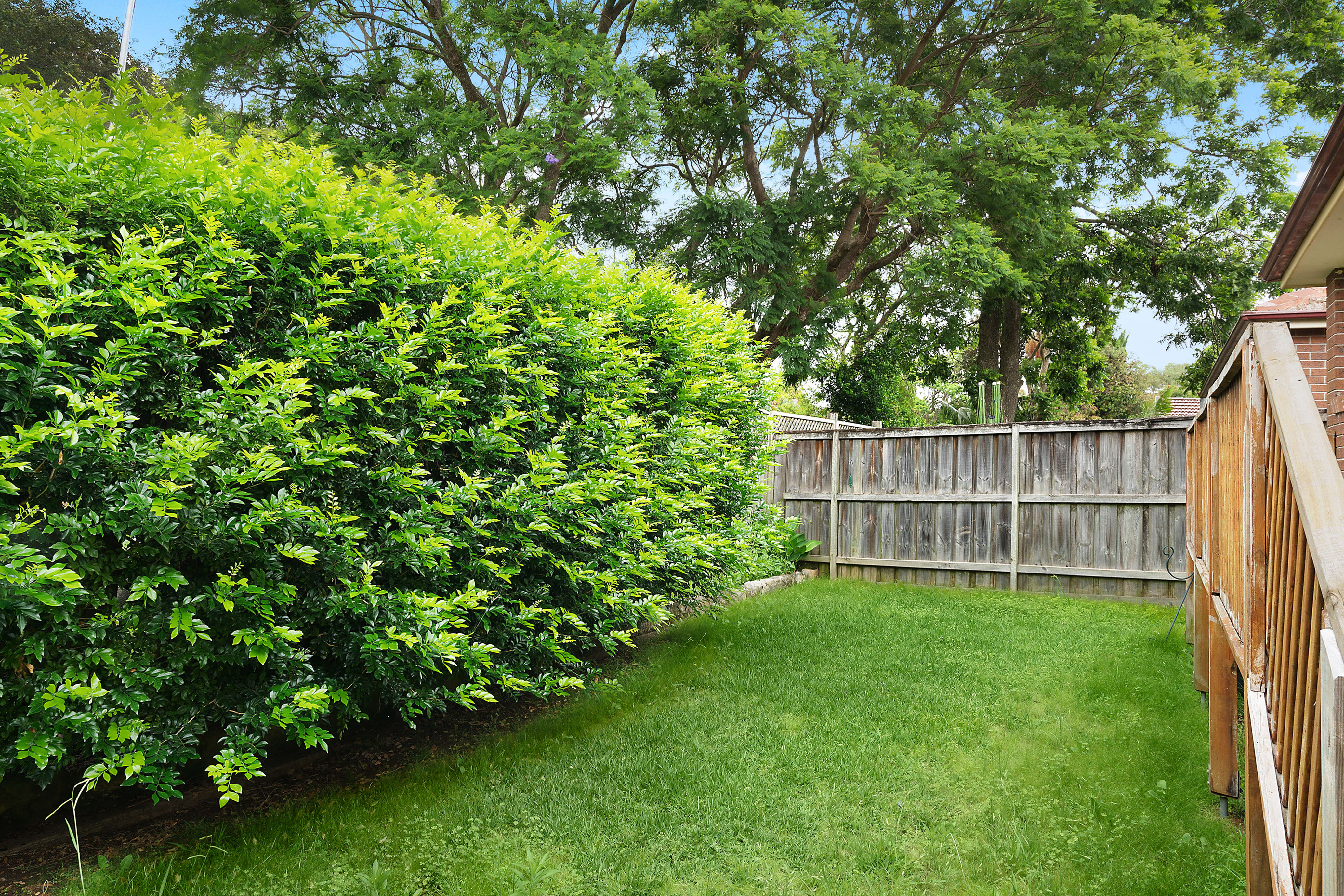 2A Macmahon Street, Willoughby, NSW, 2068, Willoughby - Thumbnail 5