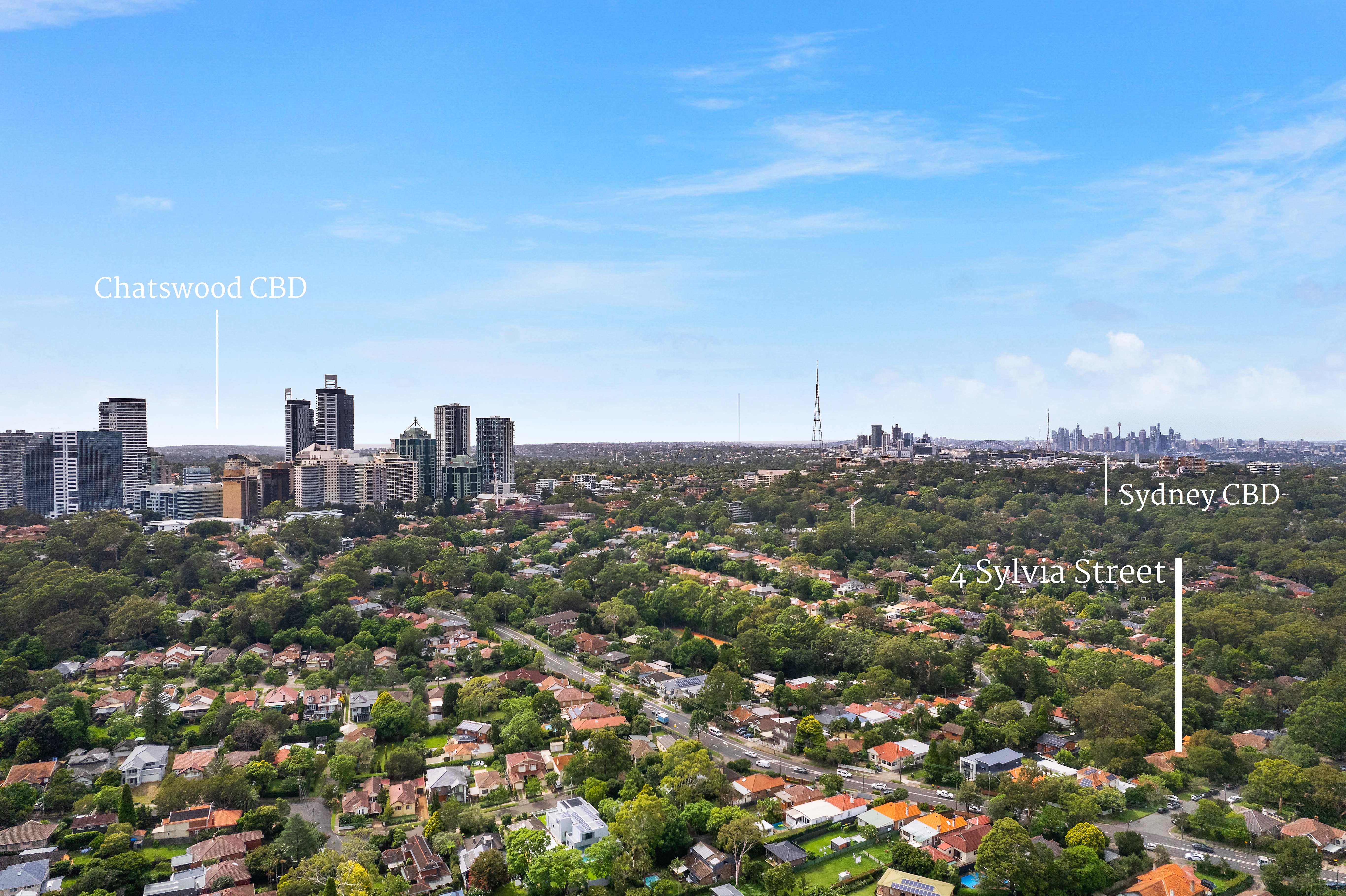 4 Sylvia Street, Chatswood, NSW, 2067, Chatswood - Thumbnail 8