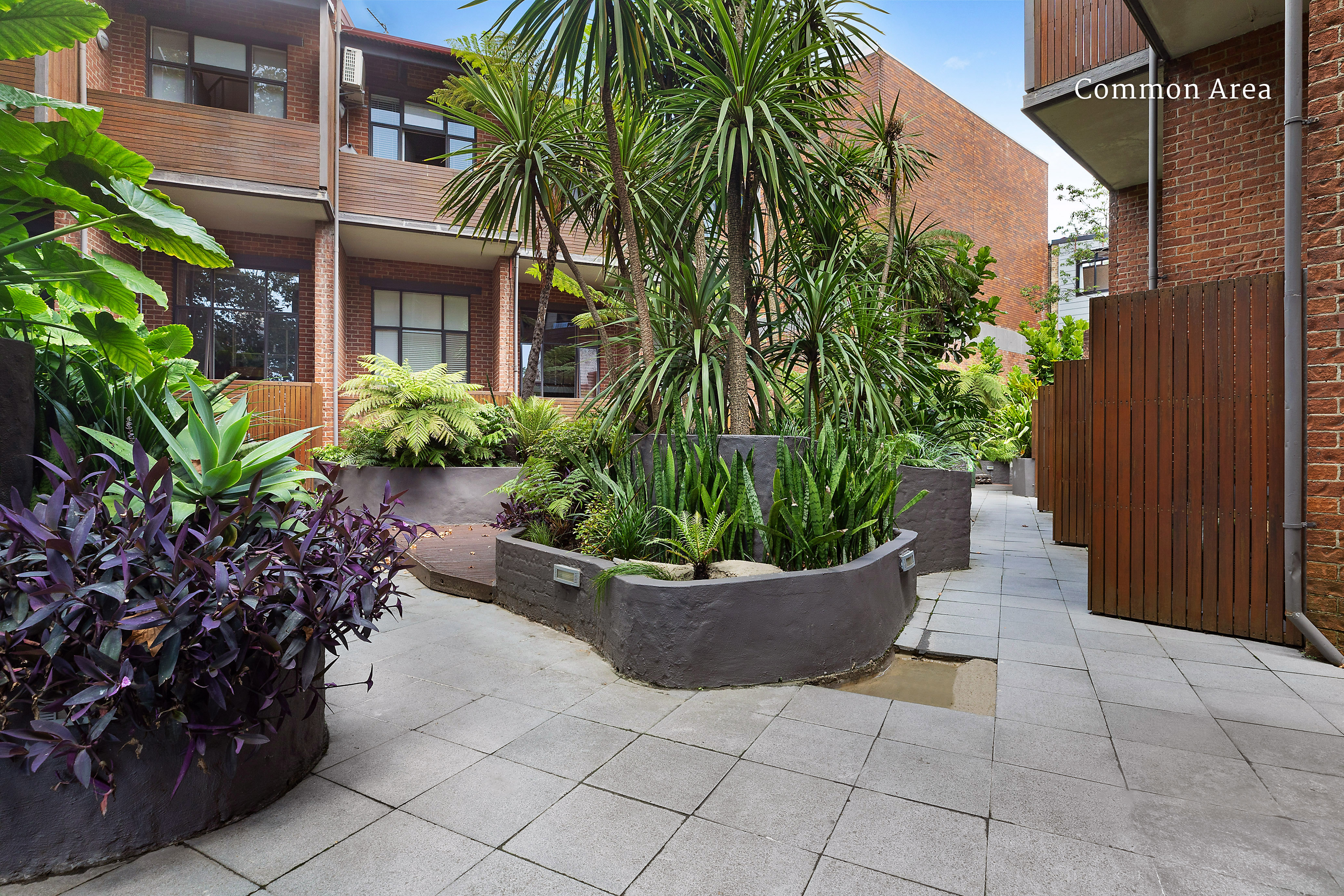 3/13-15 Oxford Street, Paddington, NSW, 2021, Paddington - Thumbnail 7