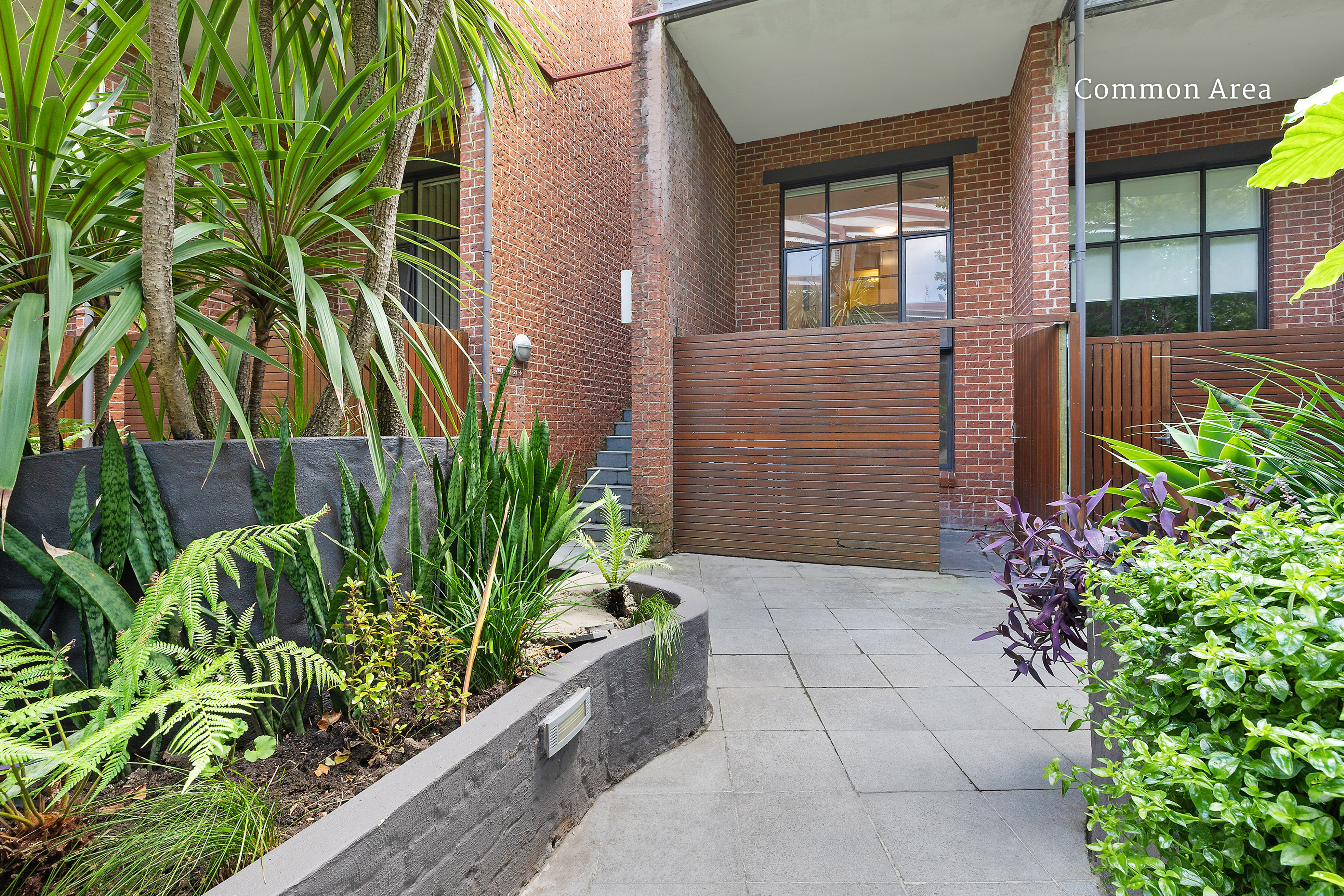 3/13-15 Oxford Street, Paddington, NSW, 2021, Paddington - Thumbnail 8