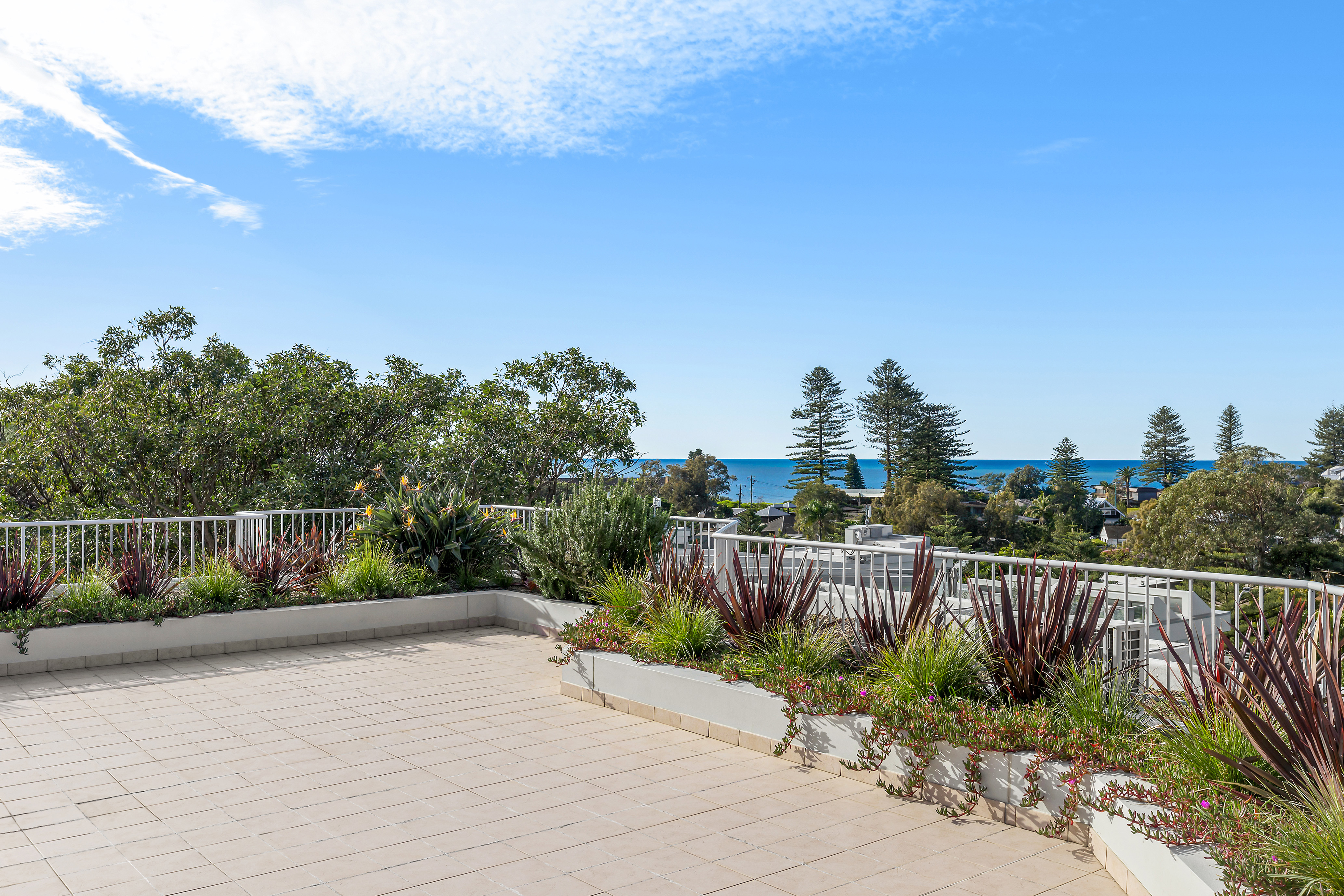 3/11-15 Foamcrest Avenue, Newport, NSW, 2106, Newport - Thumbnail 2