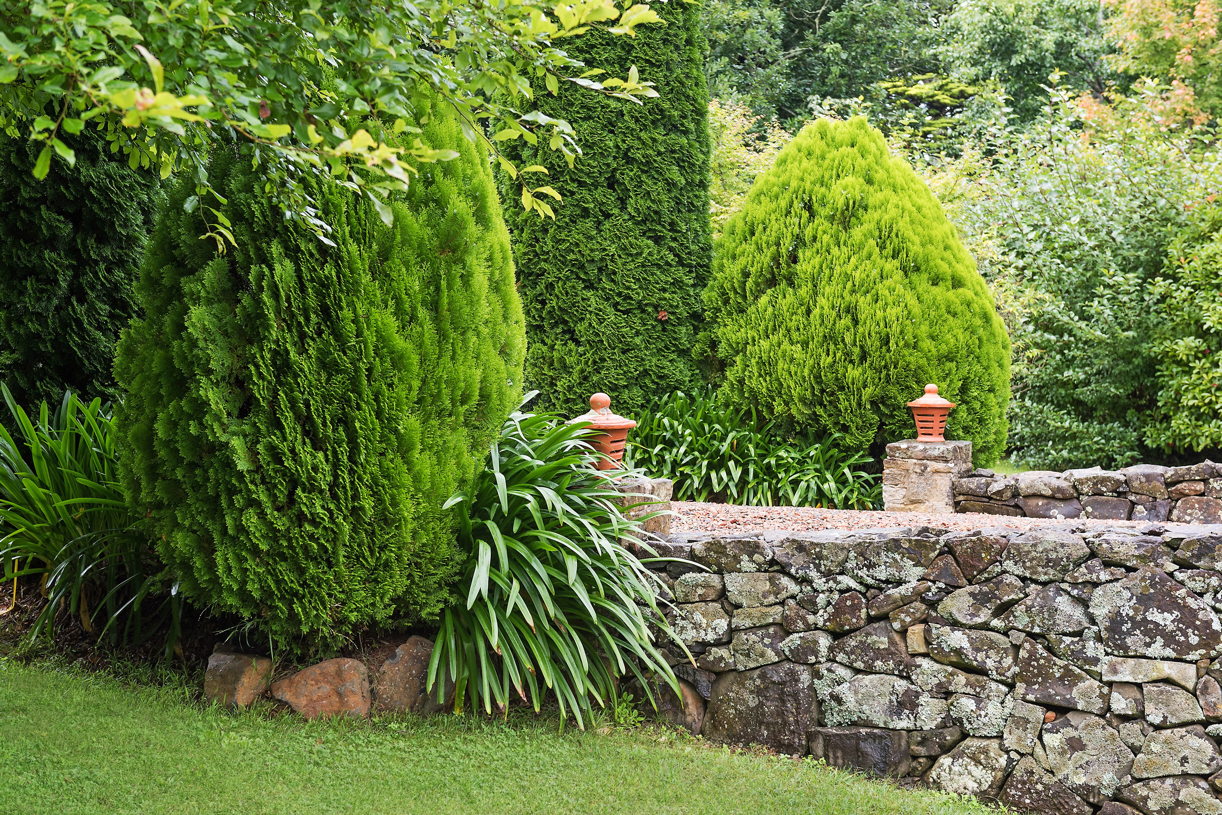 38 Bundanoon Road, Exeter, NSW, 2579, Exeter - Thumbnail 2