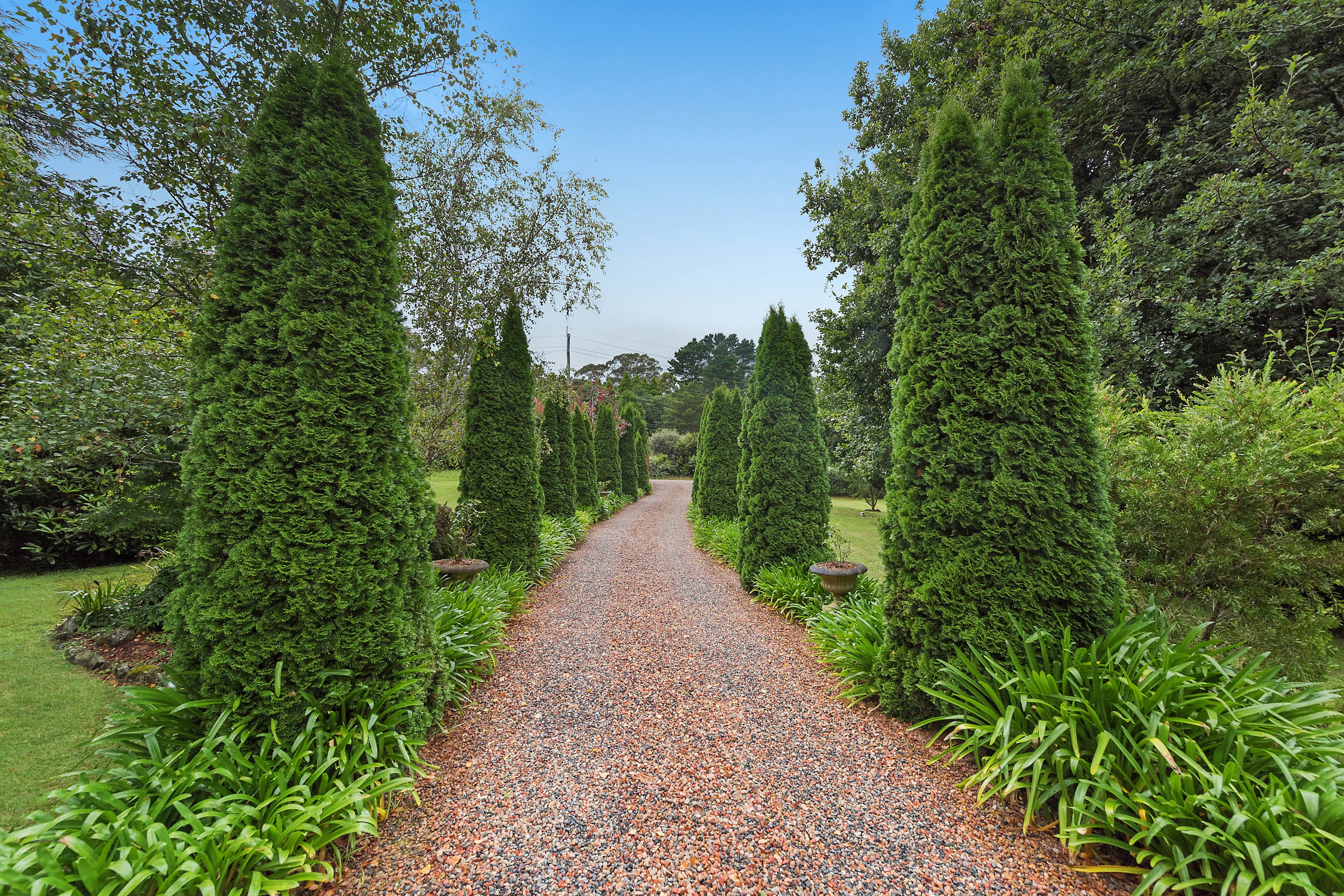 38 Bundanoon Road, Exeter, NSW, 2579, Exeter - Thumbnail 3