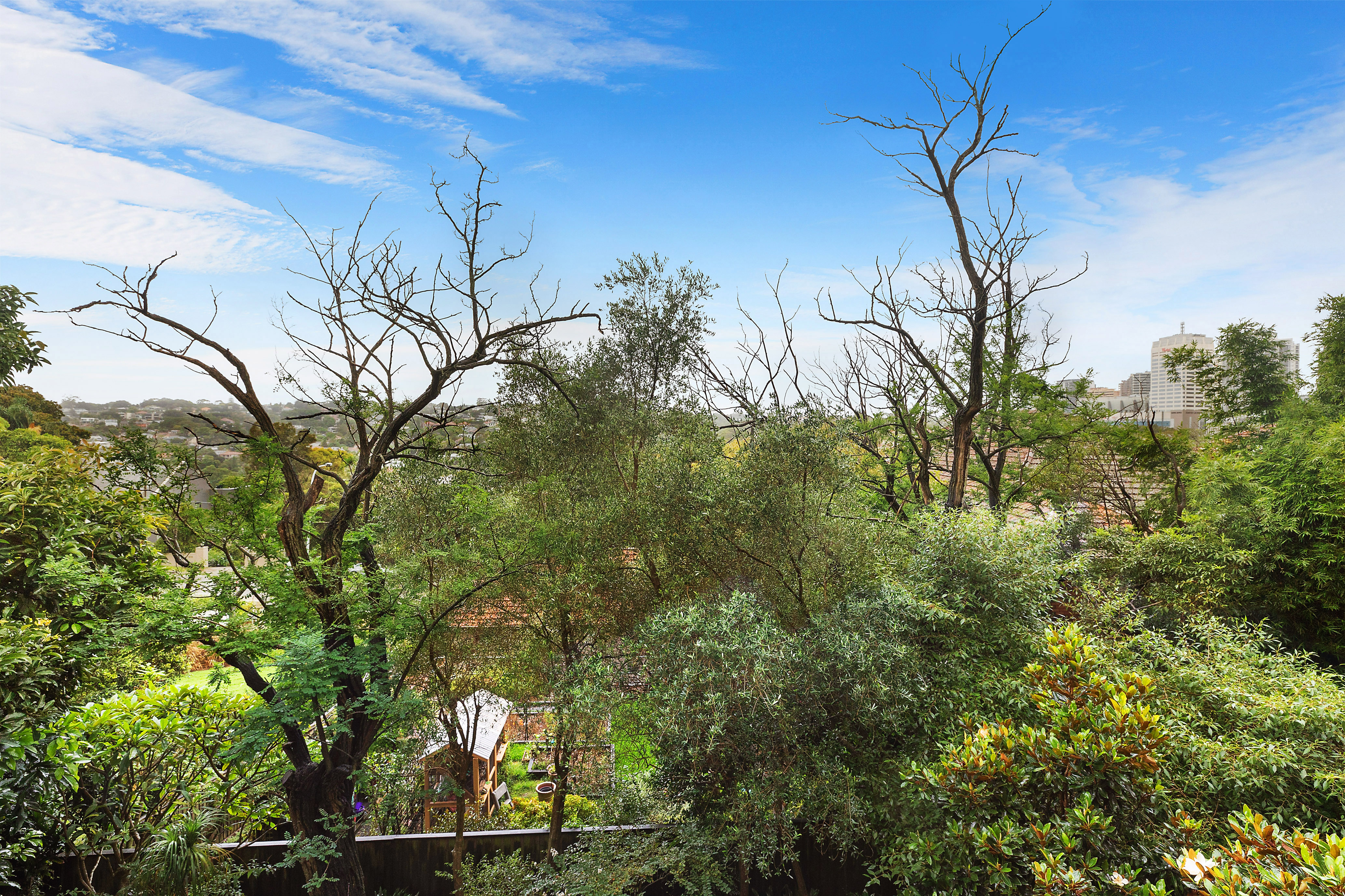 6/29A Nelson Street, Woollahra, NSW, 2025, Woollahra - Thumbnail 6