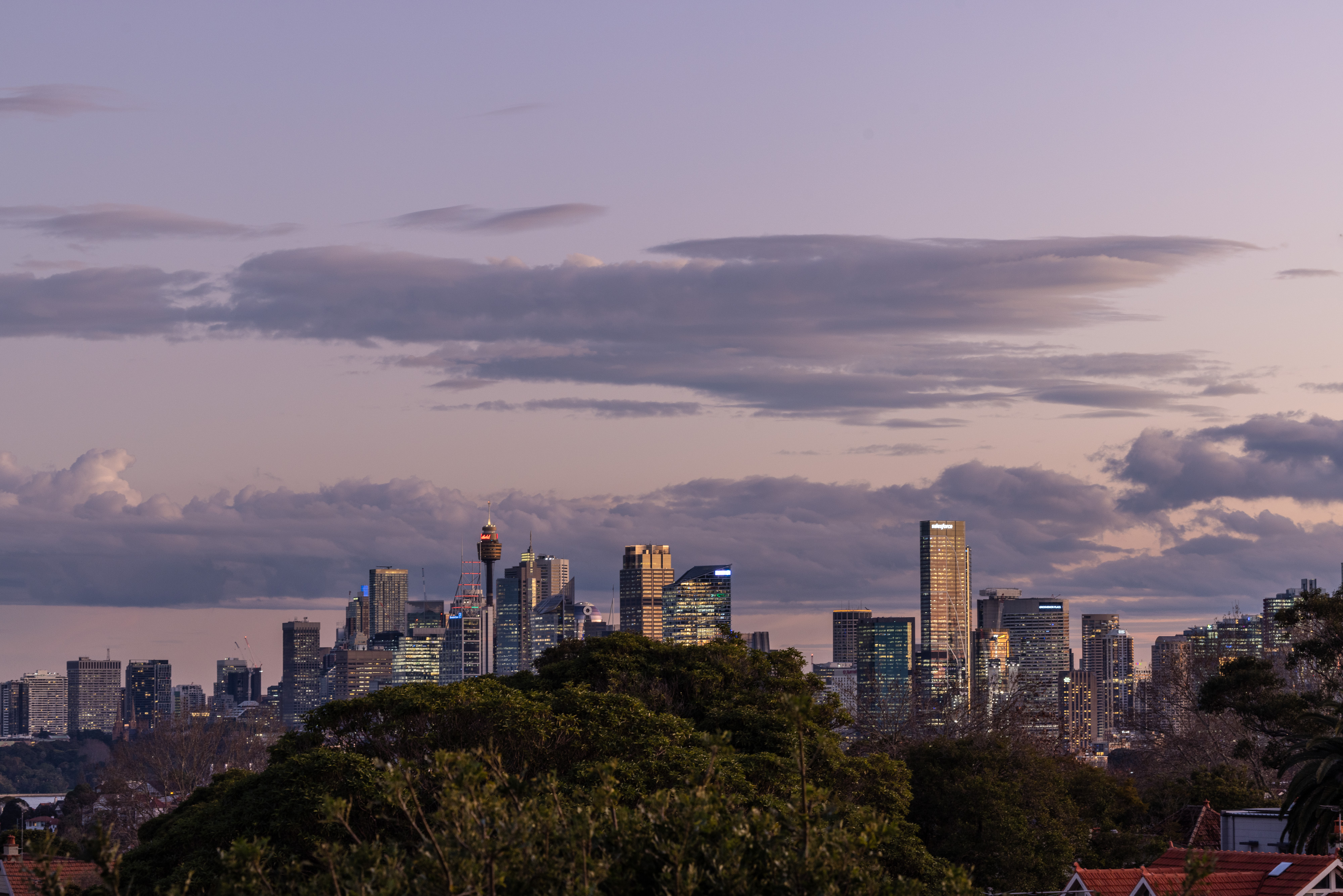 2B Glover Street, Mosman, NSW, 2088, Mosman - Thumbnail 2
