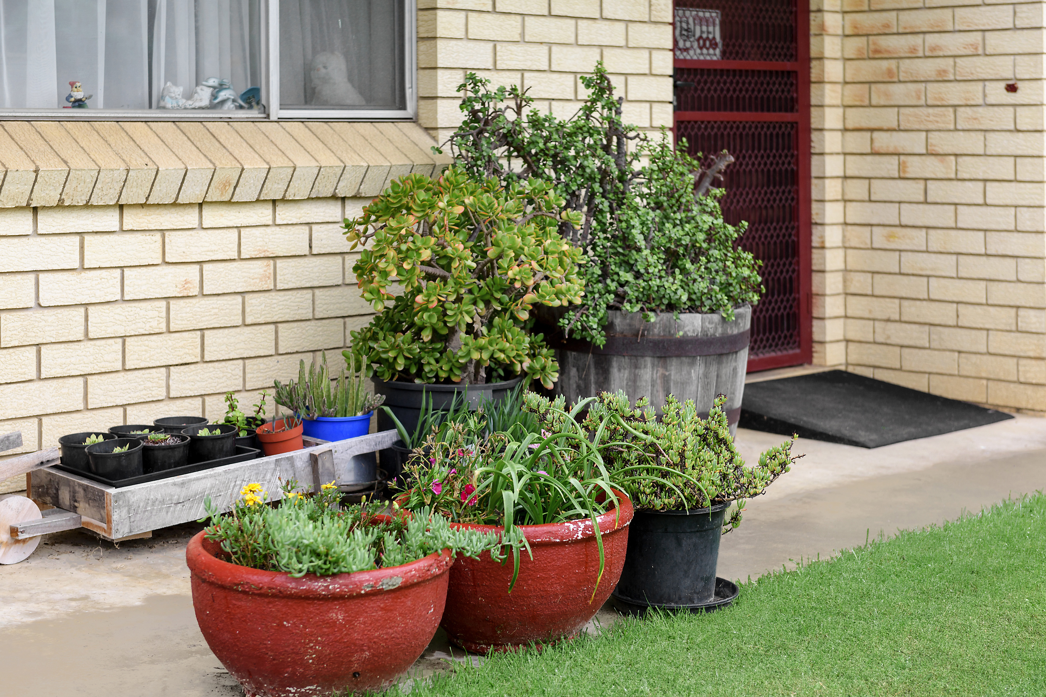 8 Gordon Road, Bowral, NSW, 2576, Bowral - Thumbnail 4
