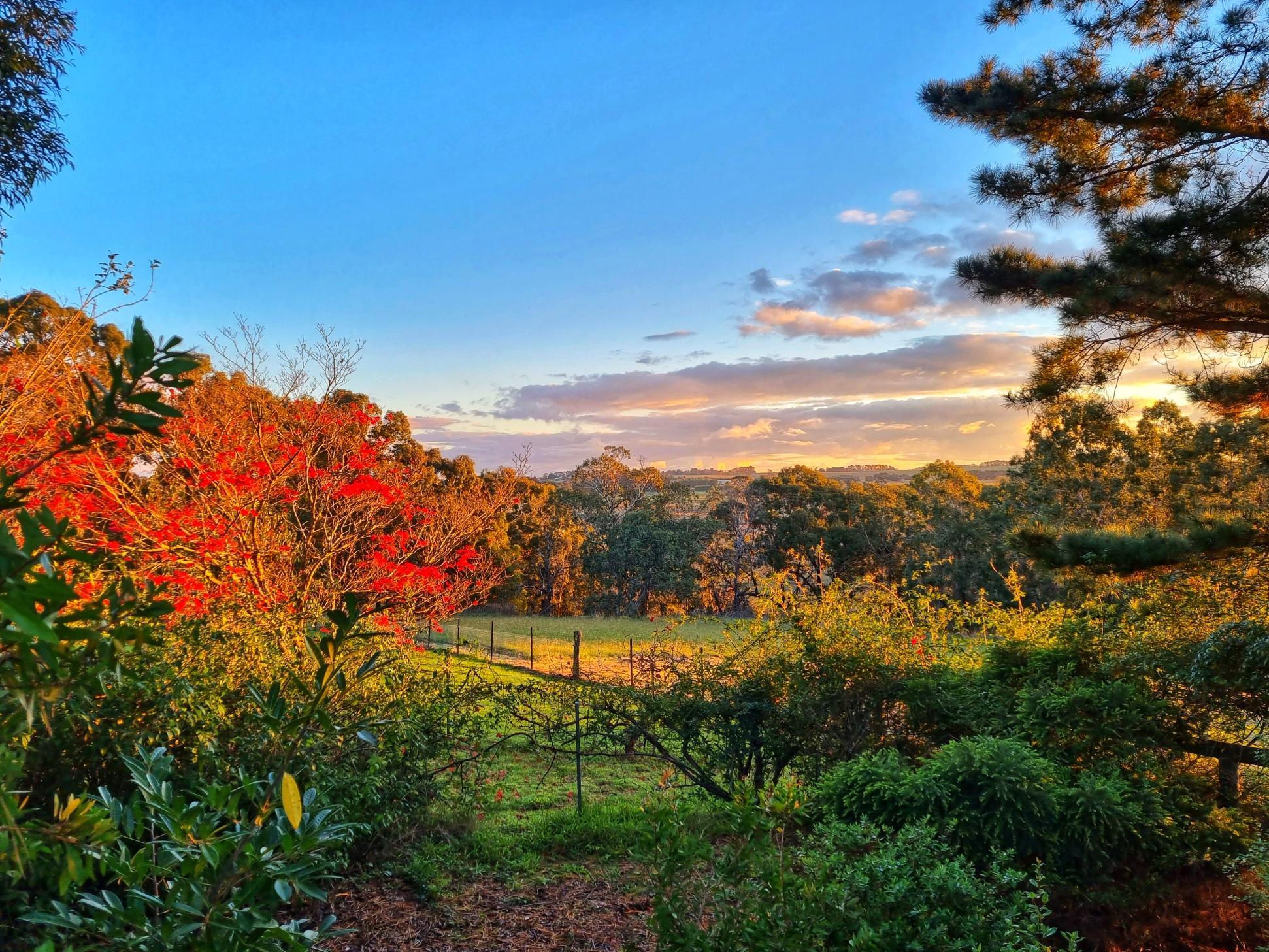 41 Hurlingham Avenue, Burradoo, NSW, 2576, Burradoo - Thumbnail 6