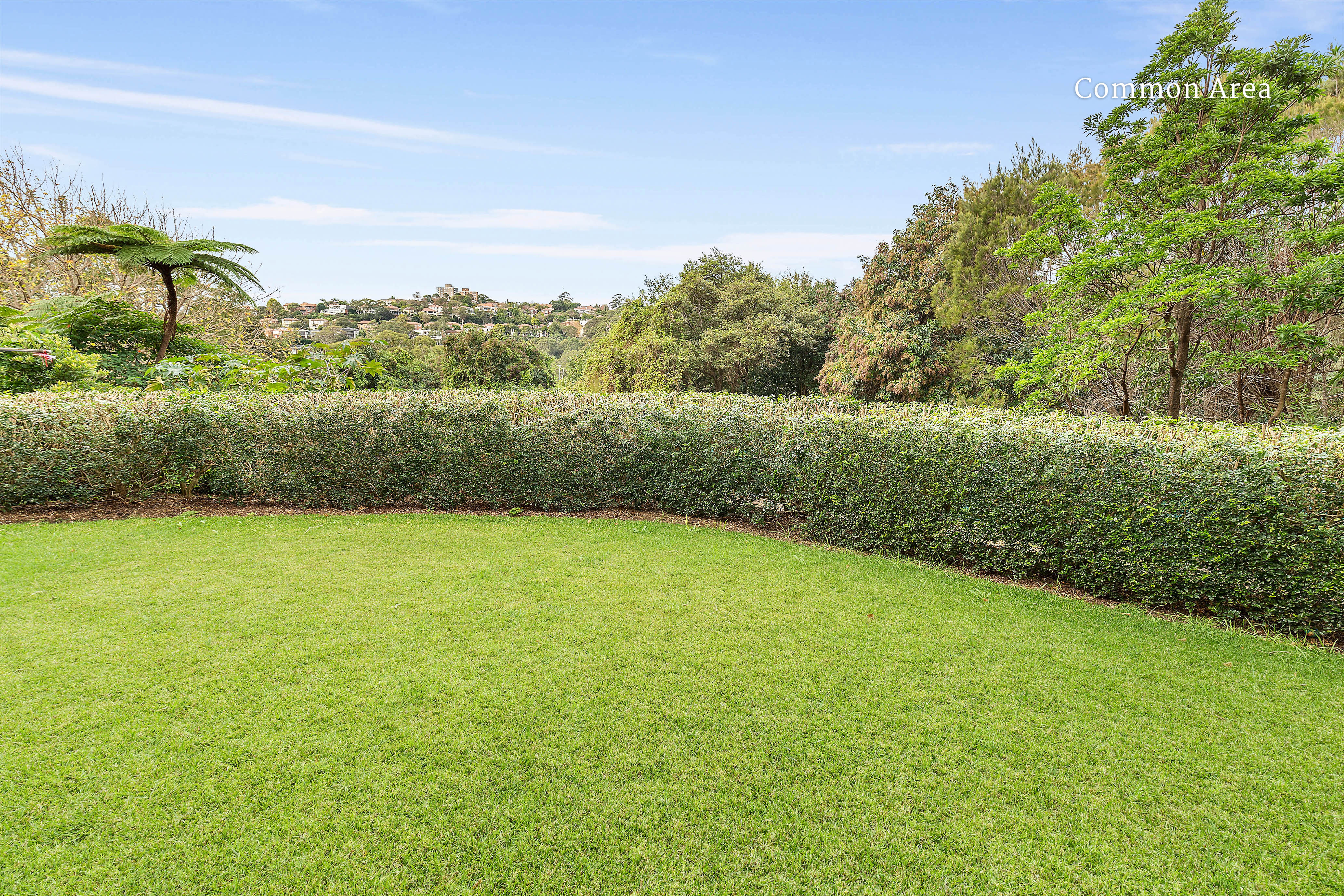 11/3 Churchill Crescent, Cammeray, NSW, 2062, Cammeray - Thumbnail 6