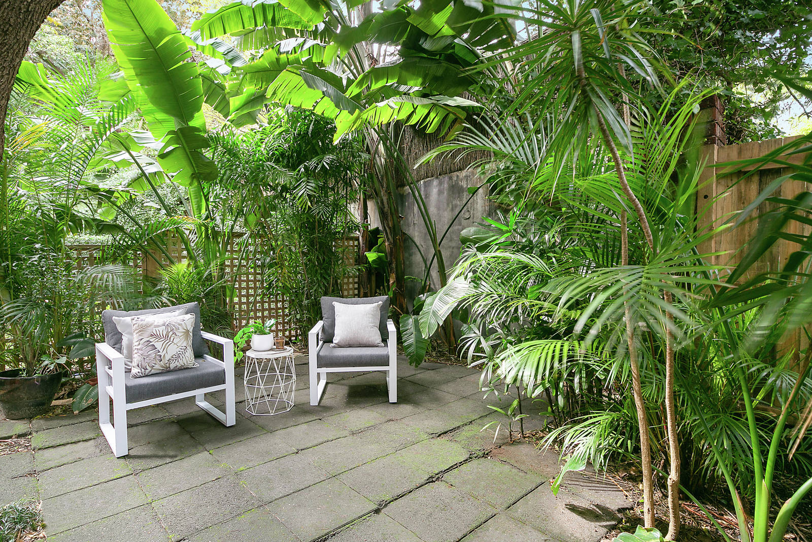 1/85b Ocean Street, Woollahra, NSW, 2025, Woollahra - Thumbnail 7