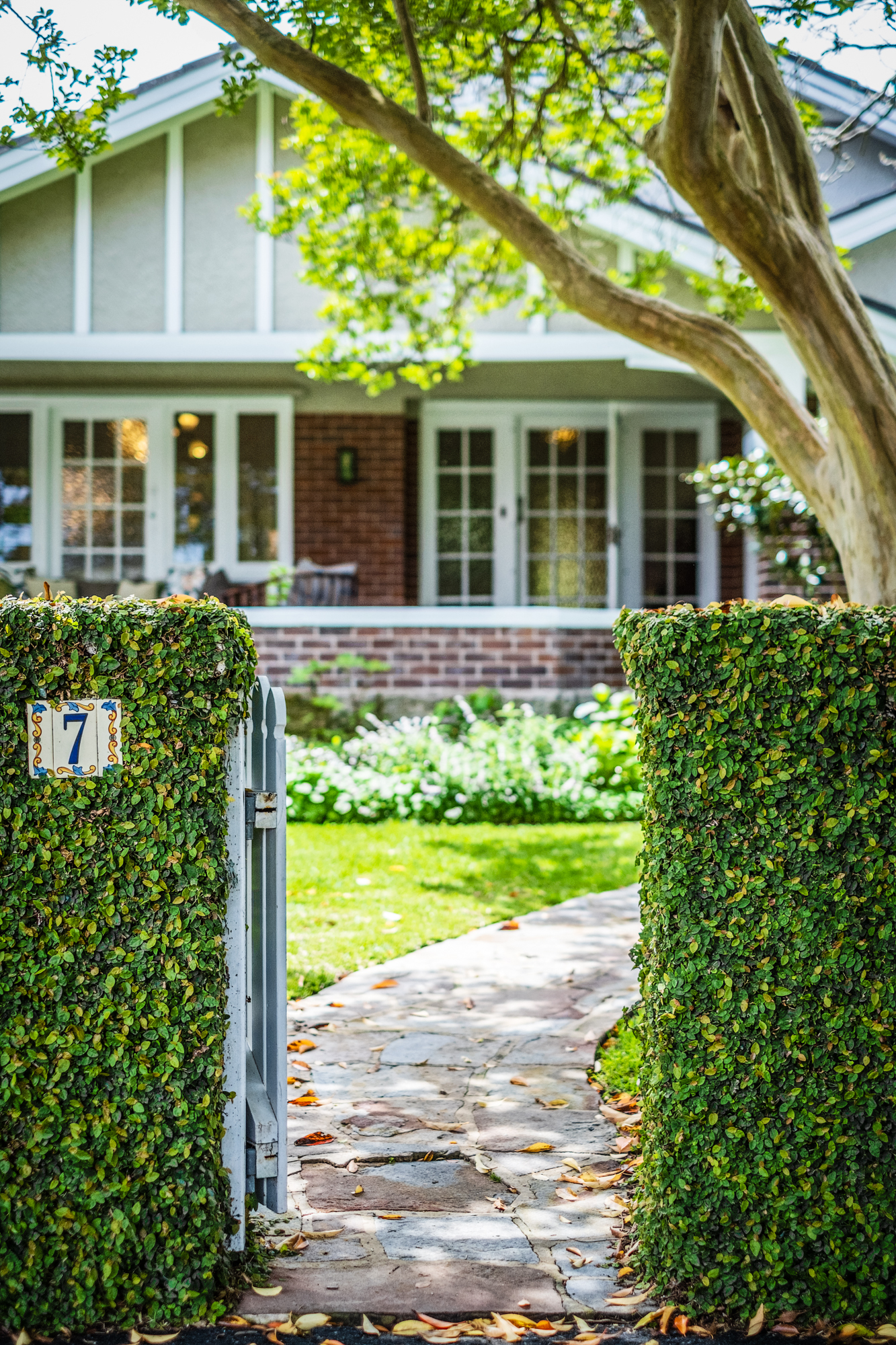 7 Belgium Avenue, Roseville, NSW, 2069, Roseville - Thumbnail 5