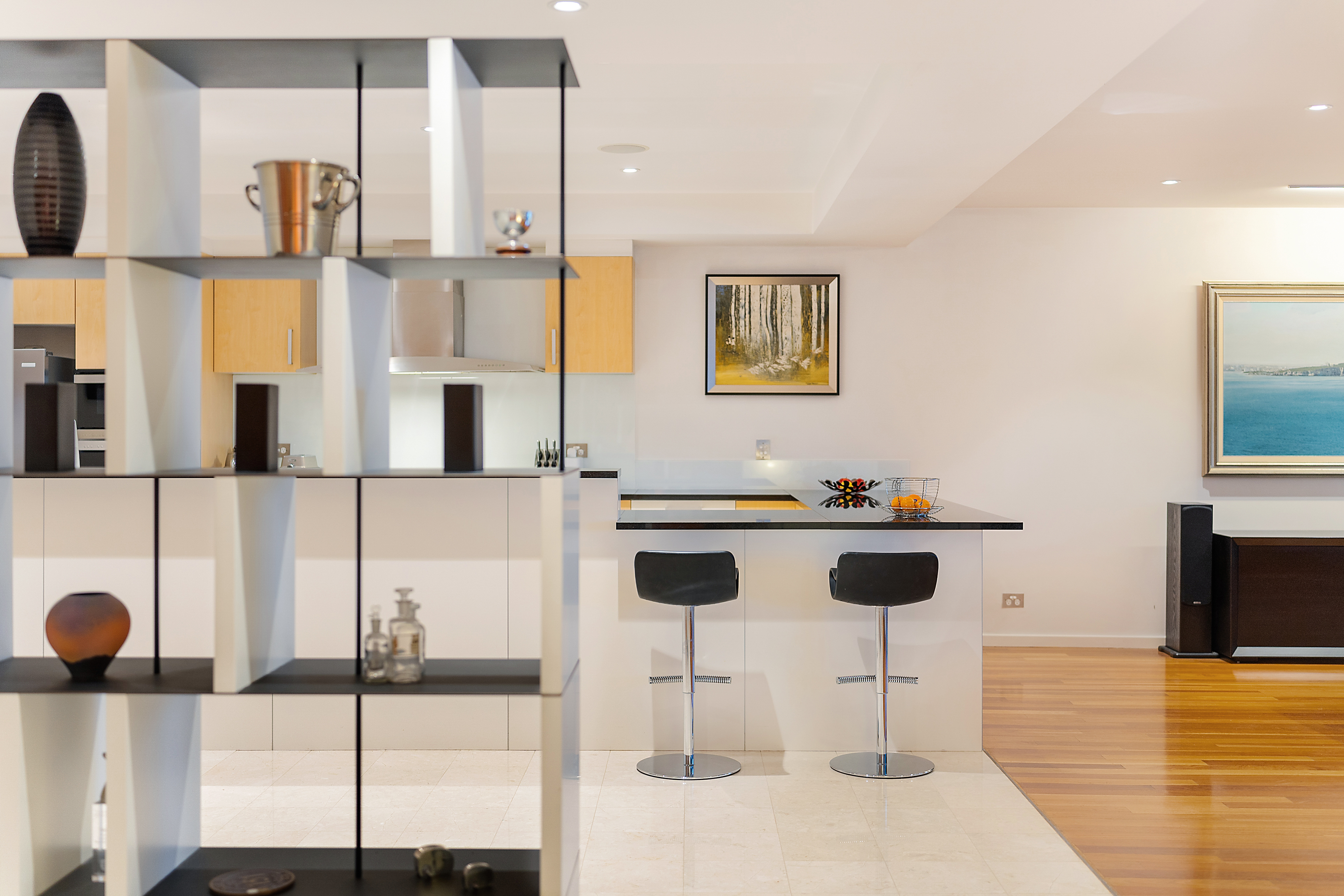 1/3 Northcliff Street, Milsons Point, NSW, 2061, Milsons Point - Thumbnail 5