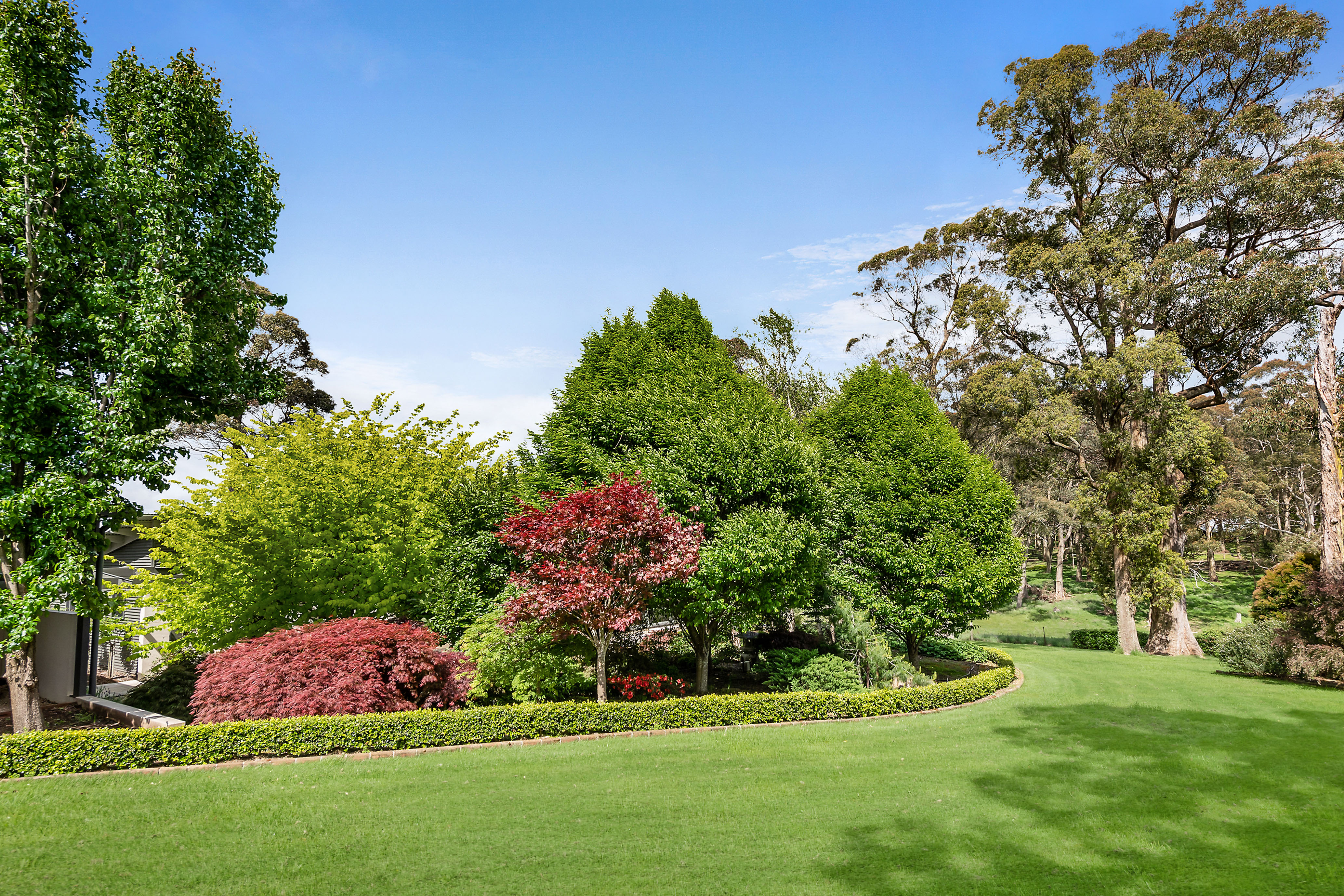 27 Ringwood Lane, Exeter, NSW, 2579, Exeter - Thumbnail 4