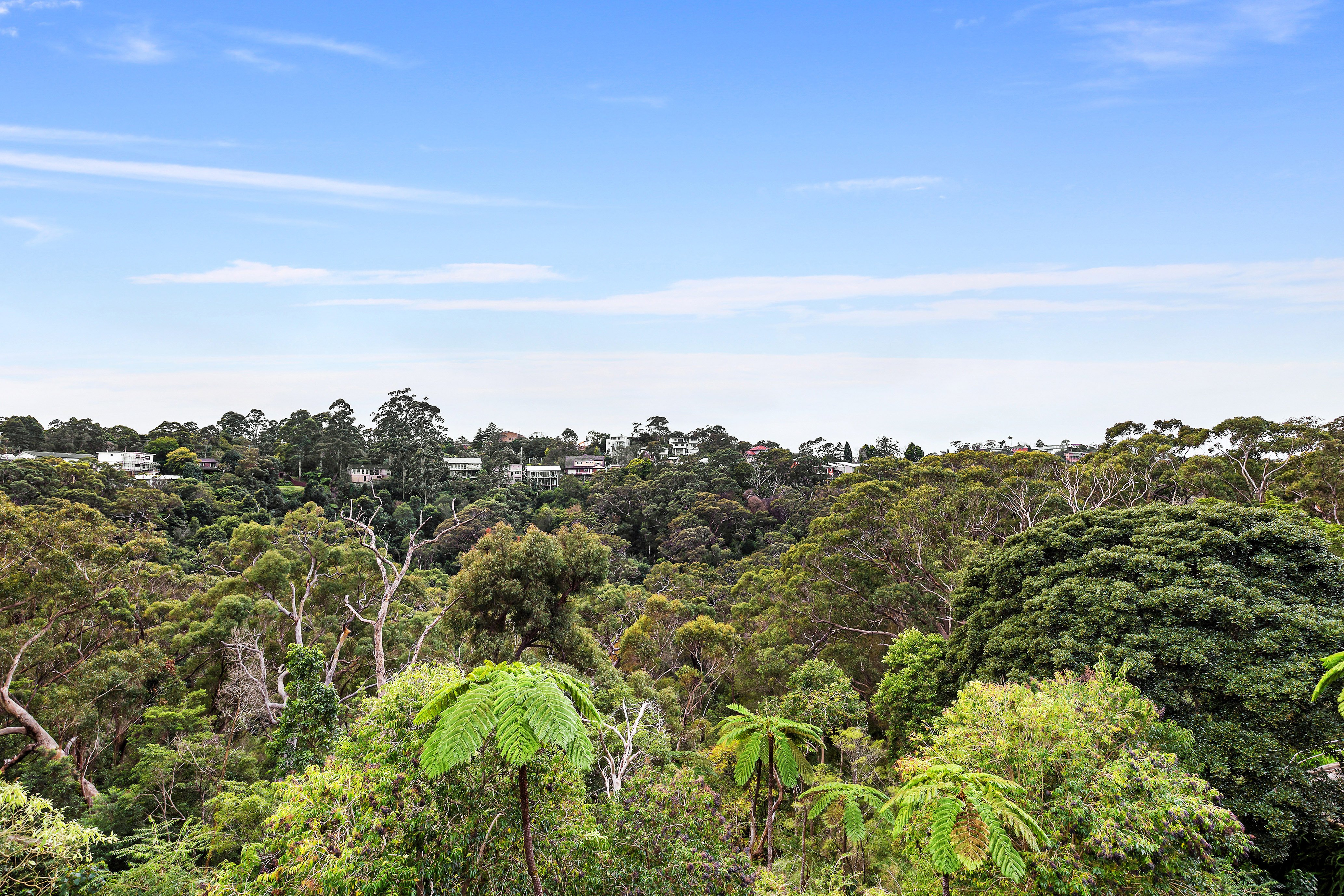 289 Eastern Valley Way, Middle Cove, NSW, 2068, Middle Cove - Thumbnail 4